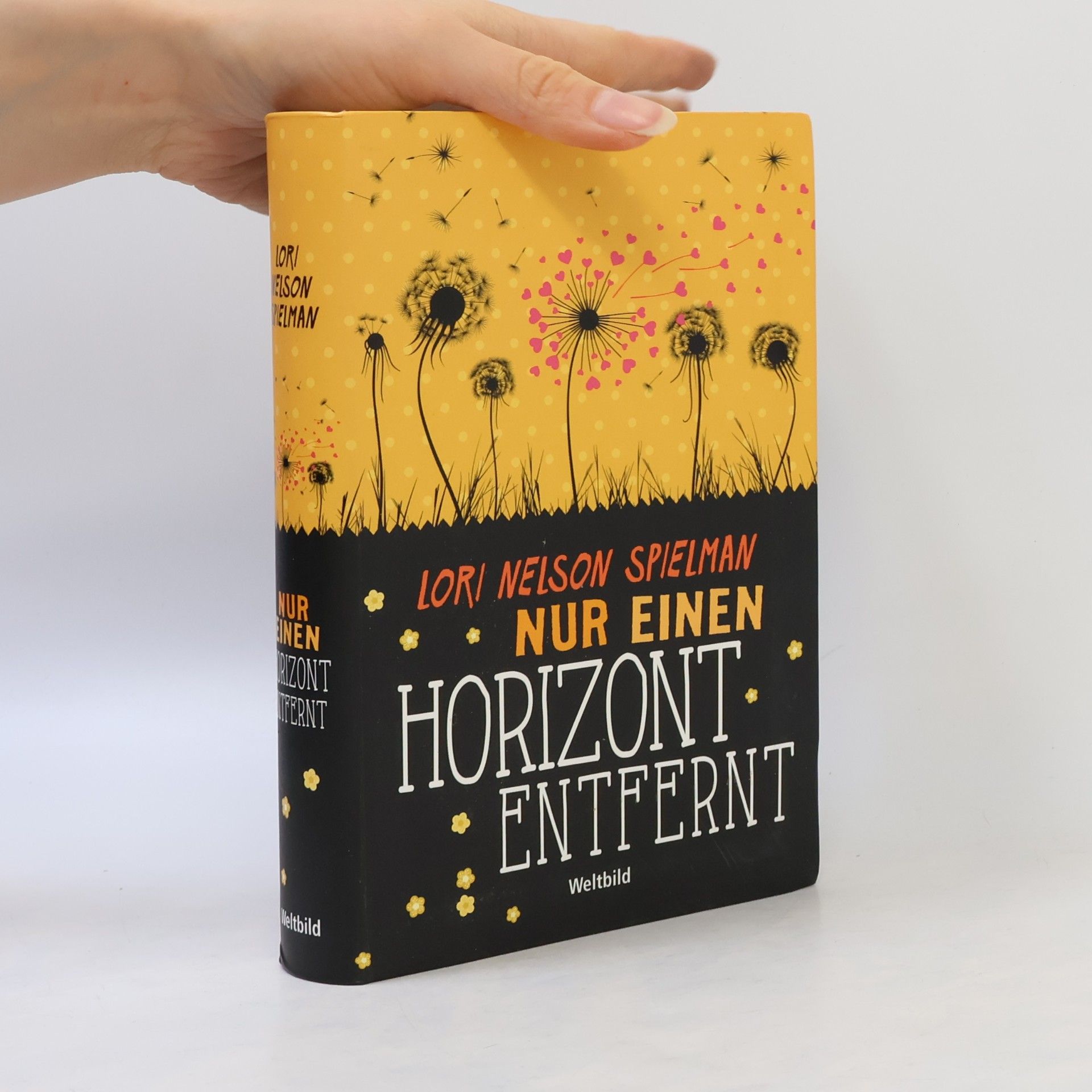 Lori Nelson Spielman Nur einen Horizont entfernt