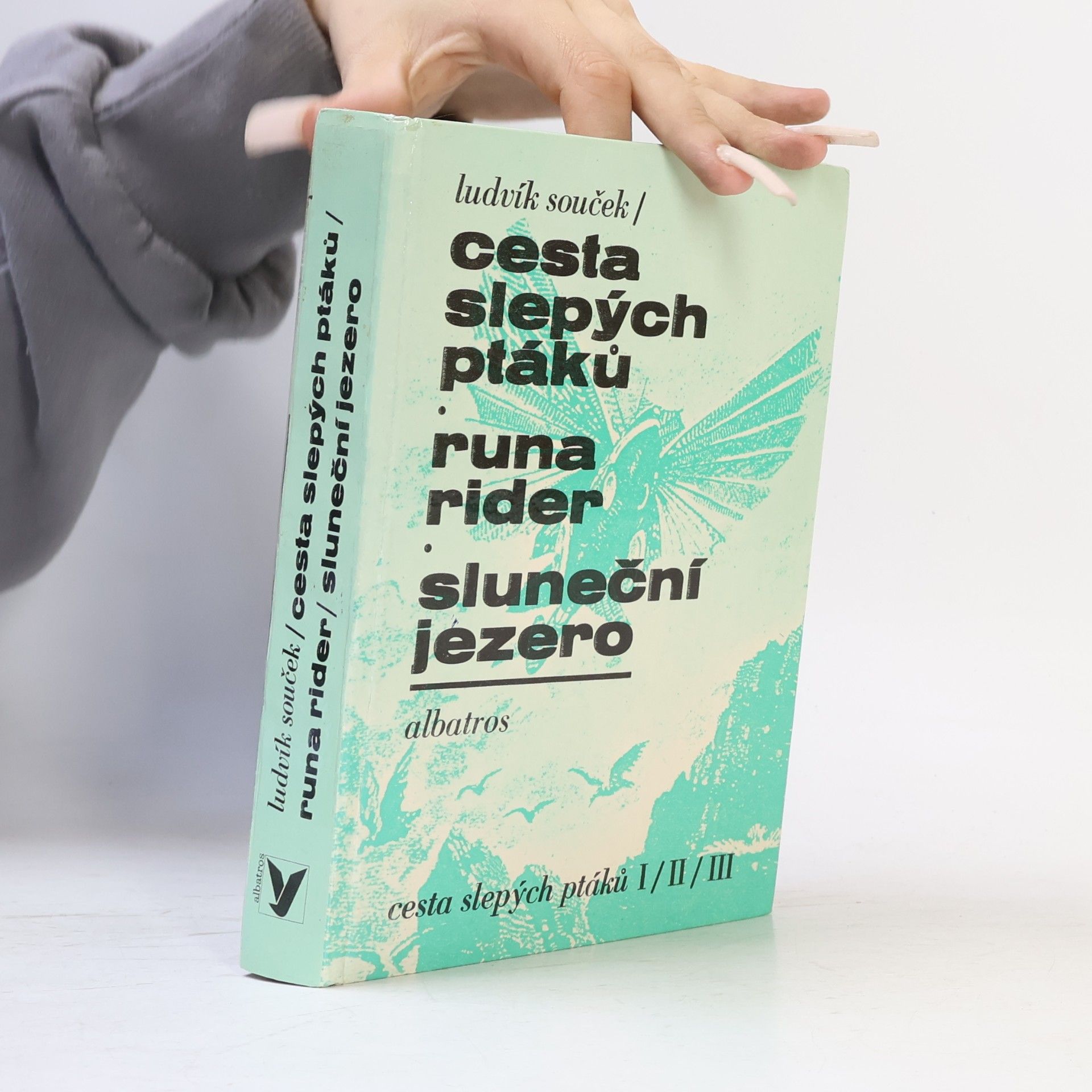 Ludvík Souček Cesta slepých ptáků. Runa rider. Sluneční jezero