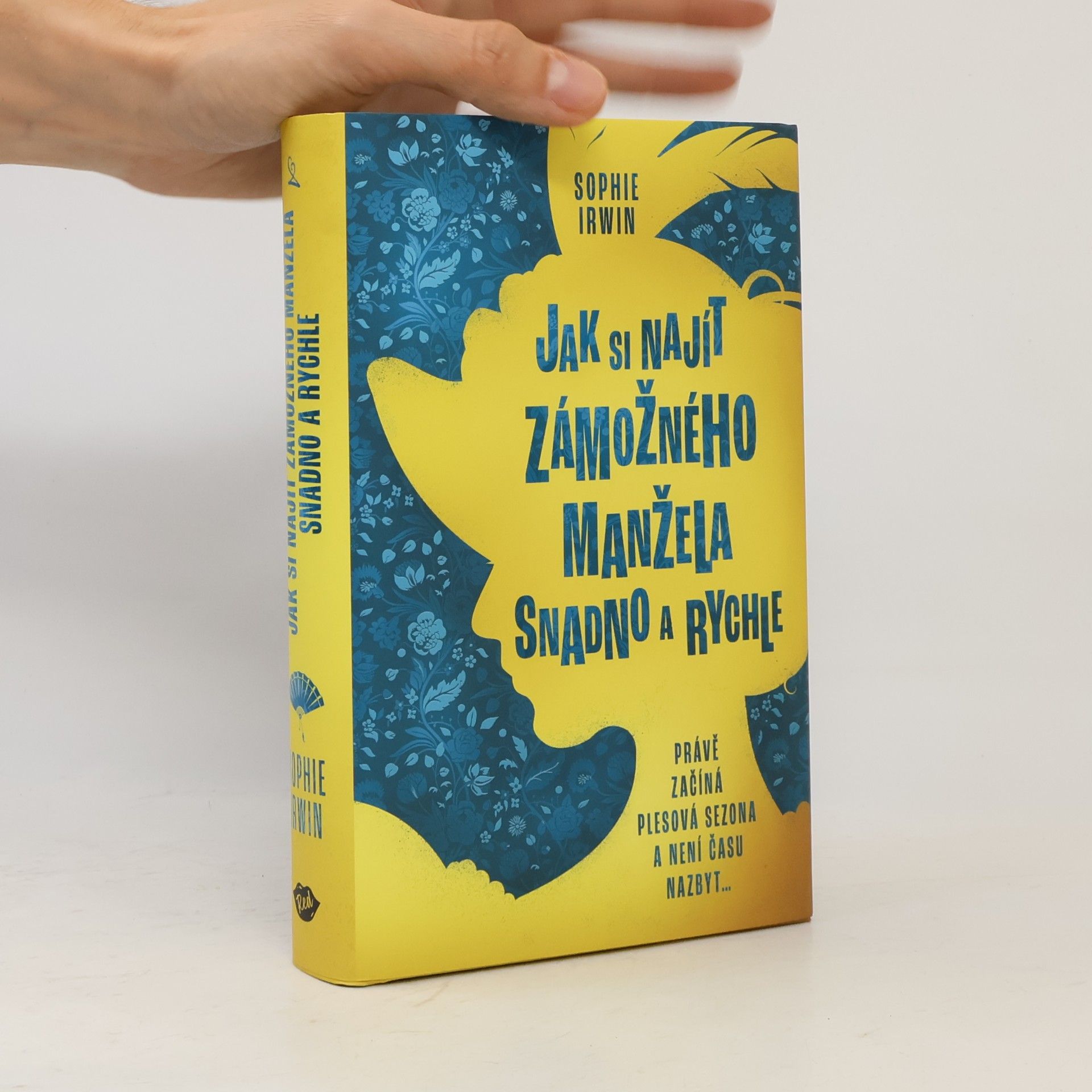 Sophie Irwin Jak si najít zámožného manžela snadno a rychle
