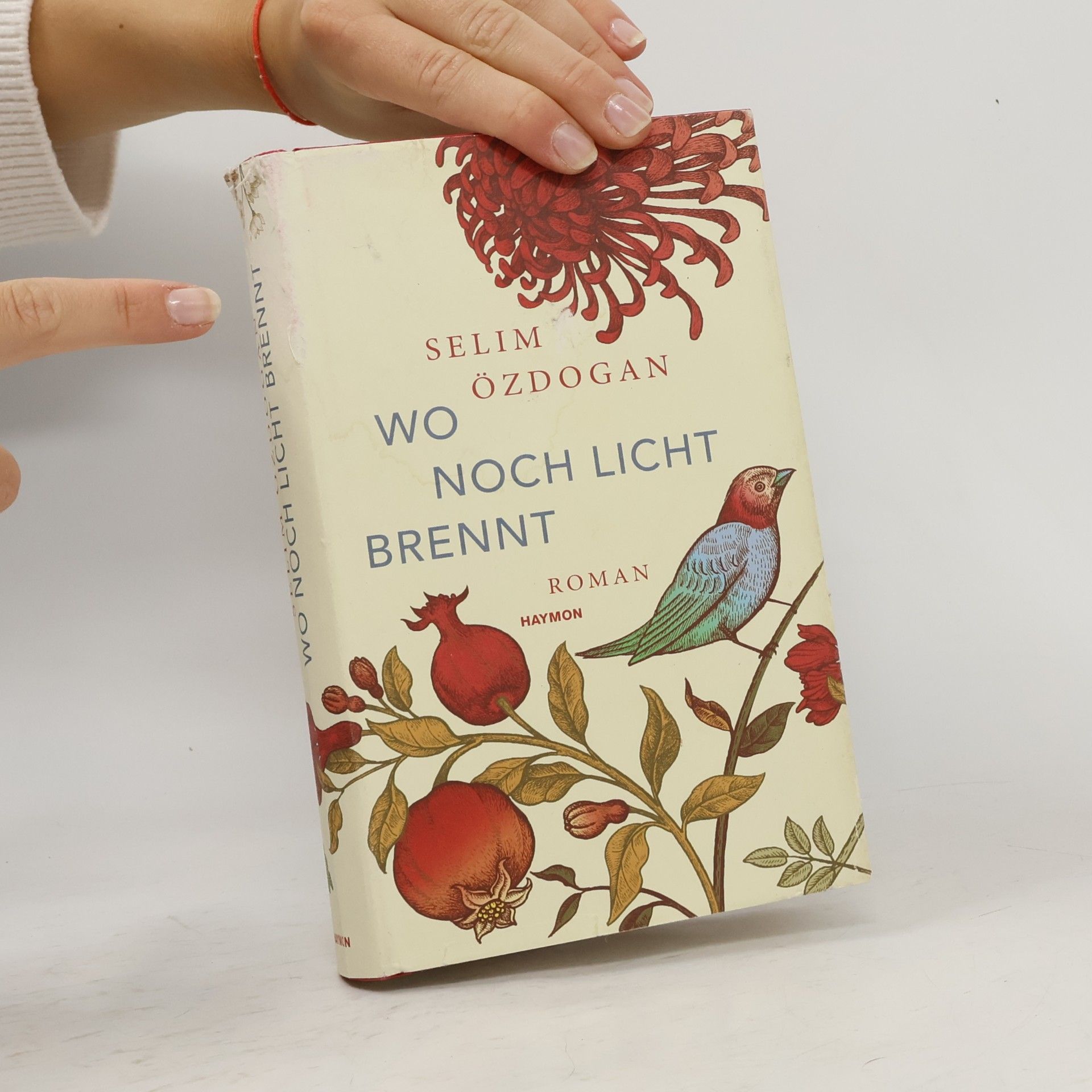 Selim Özdogan Wo noch Licht brennt