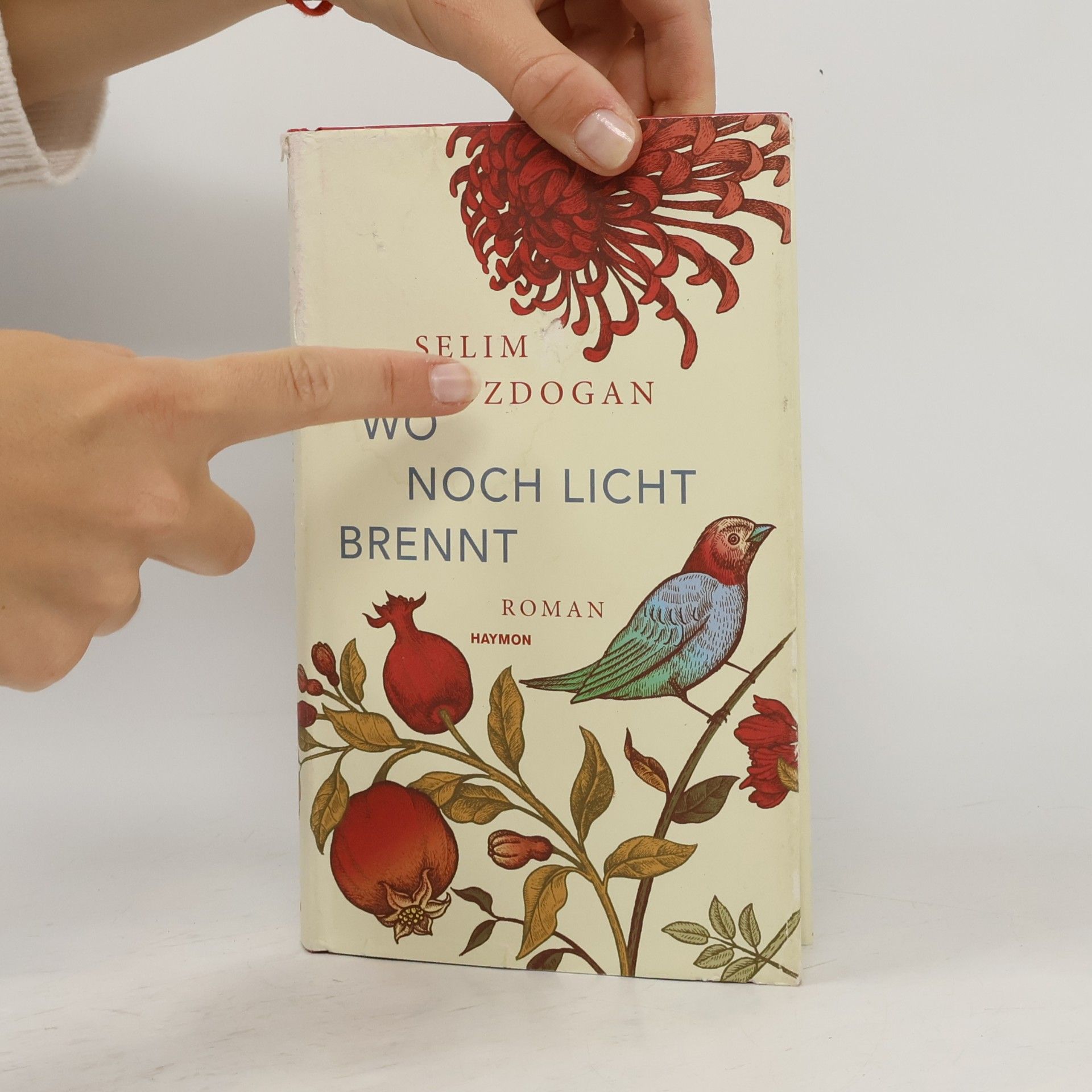 Selim Özdogan Wo noch Licht brennt