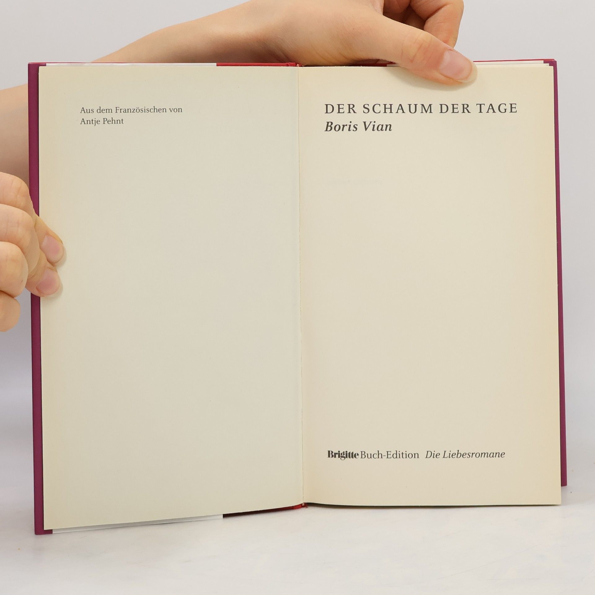 Boris Vian Der Schaum der Tage