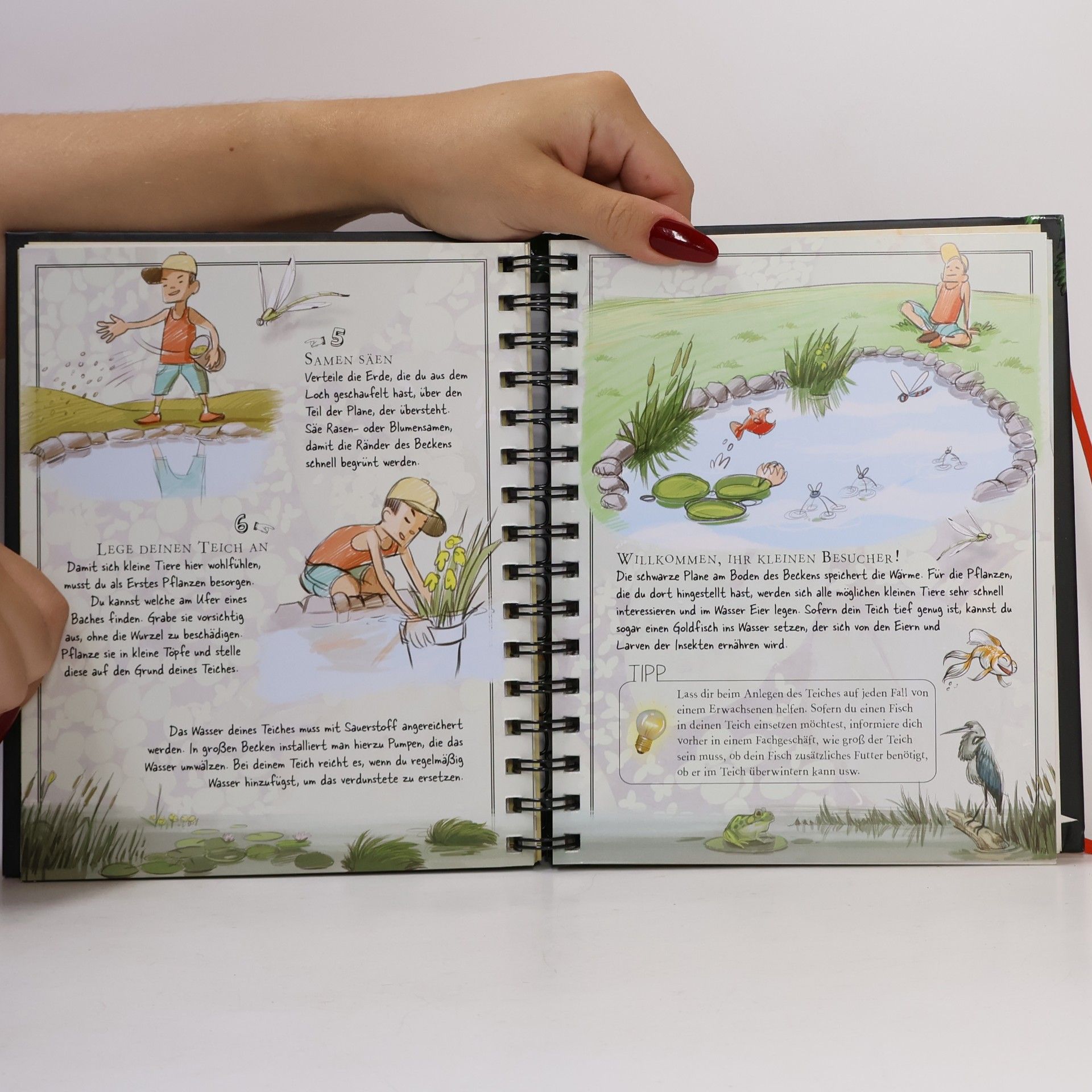 Michèle Lecreux The Boy's Book: Das außergewöhnliche Handbuch für abenteuerlustige Jungs