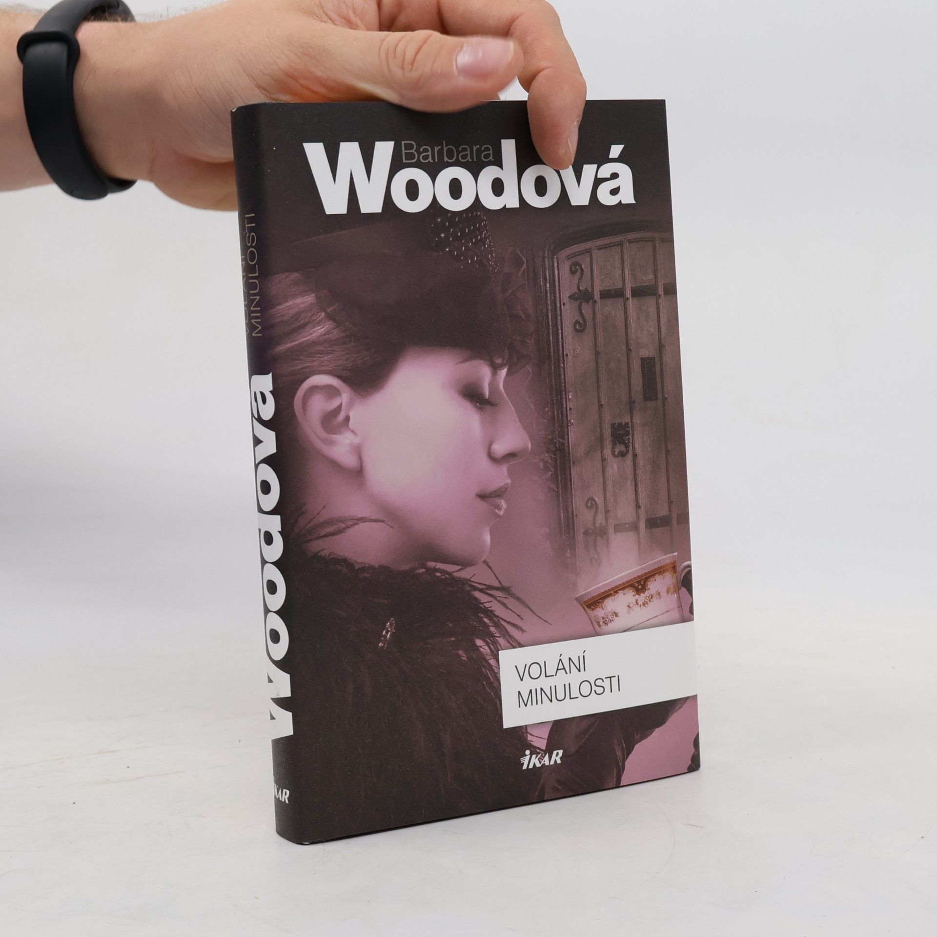 Barbara Wood Volání minulosti