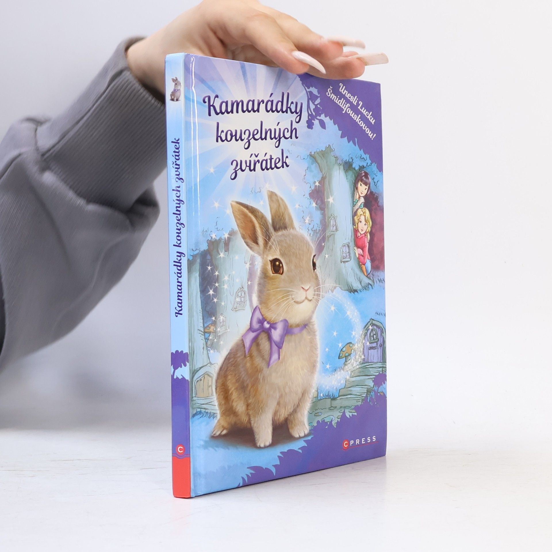 Daisy Meadows Kamarádky kouzelných zvířátek: Unesli Lucku Šmidlifouskovou!