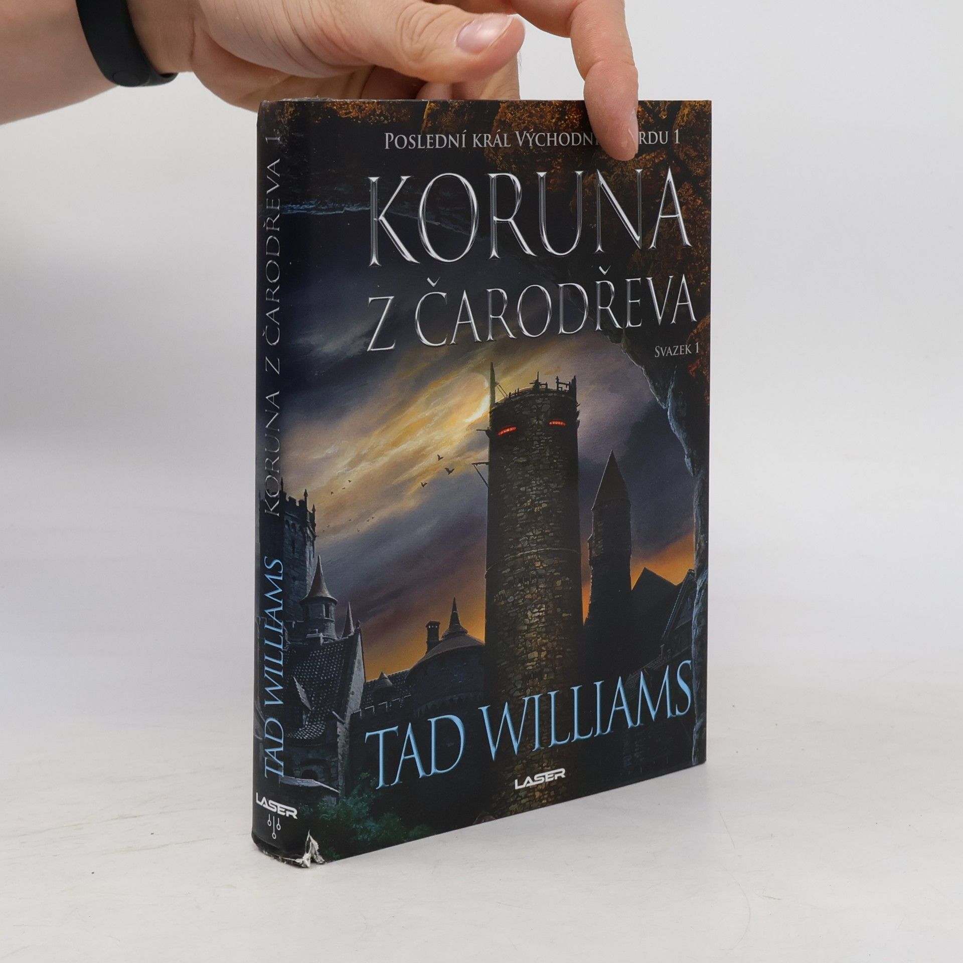 Tad Williams Koruna z čarodřeva
