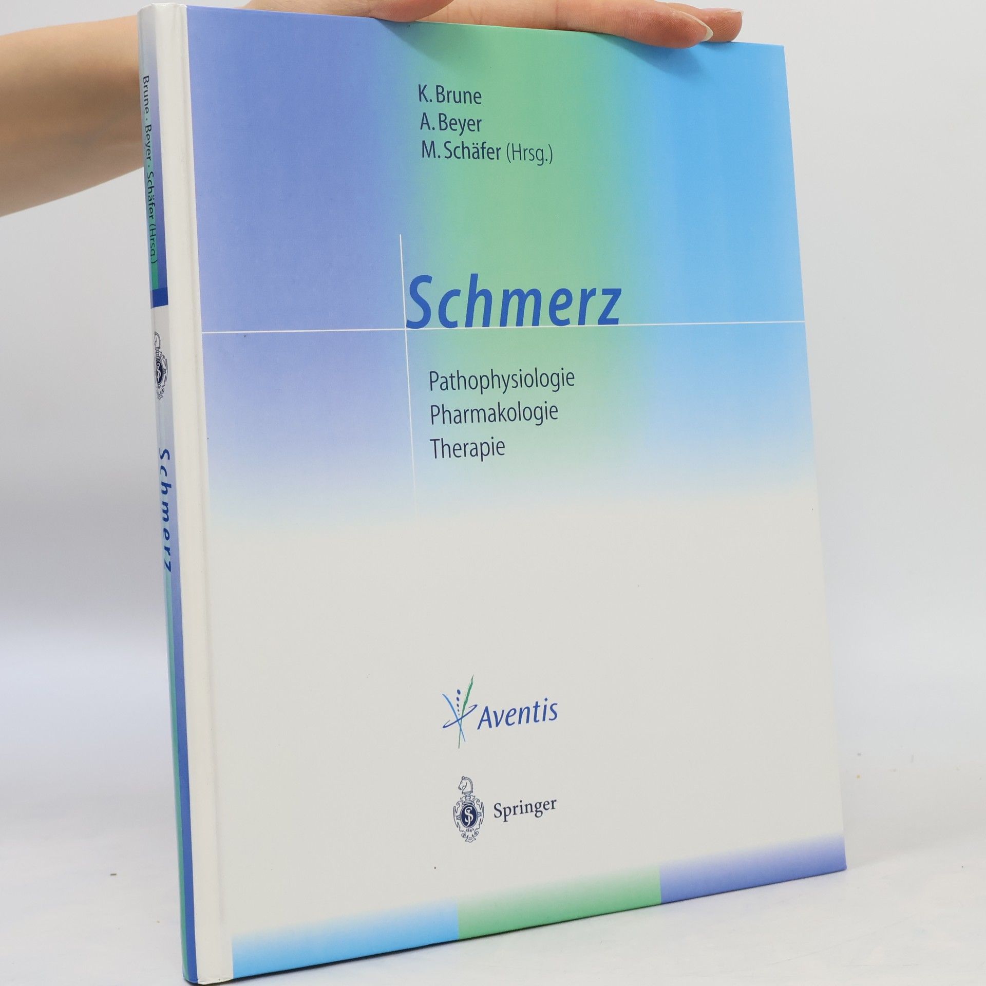 Kay Brune Schmerz. Patopsychologie. Pharmakologie. Terapie.