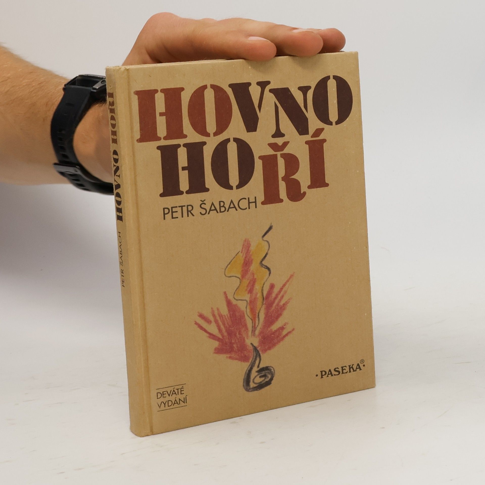 Petr Šabach Hovno hoří
