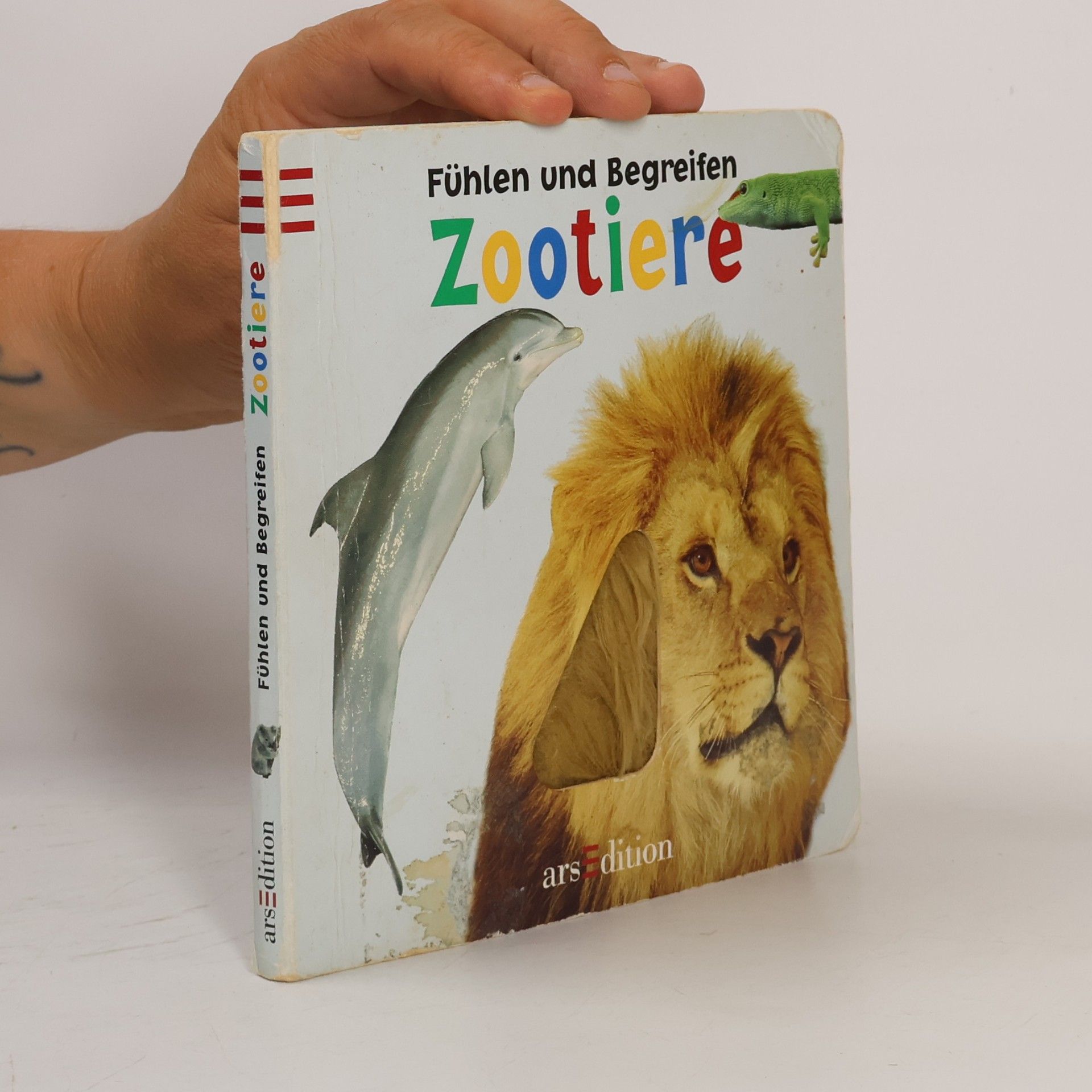 Daniela Filthaut Zootiere