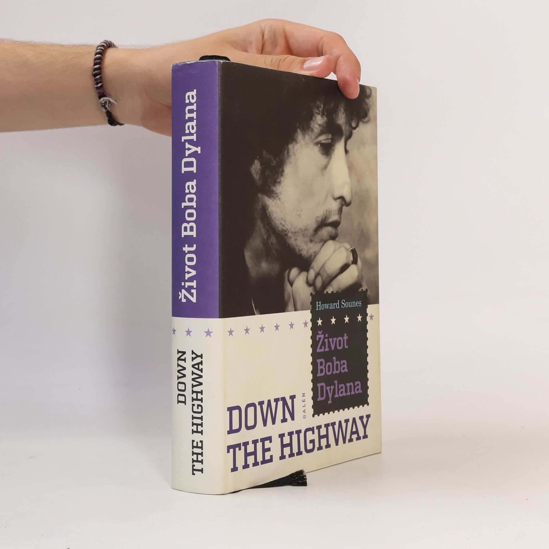 Howard Sounes Down The Highway : Život Boba Dylana