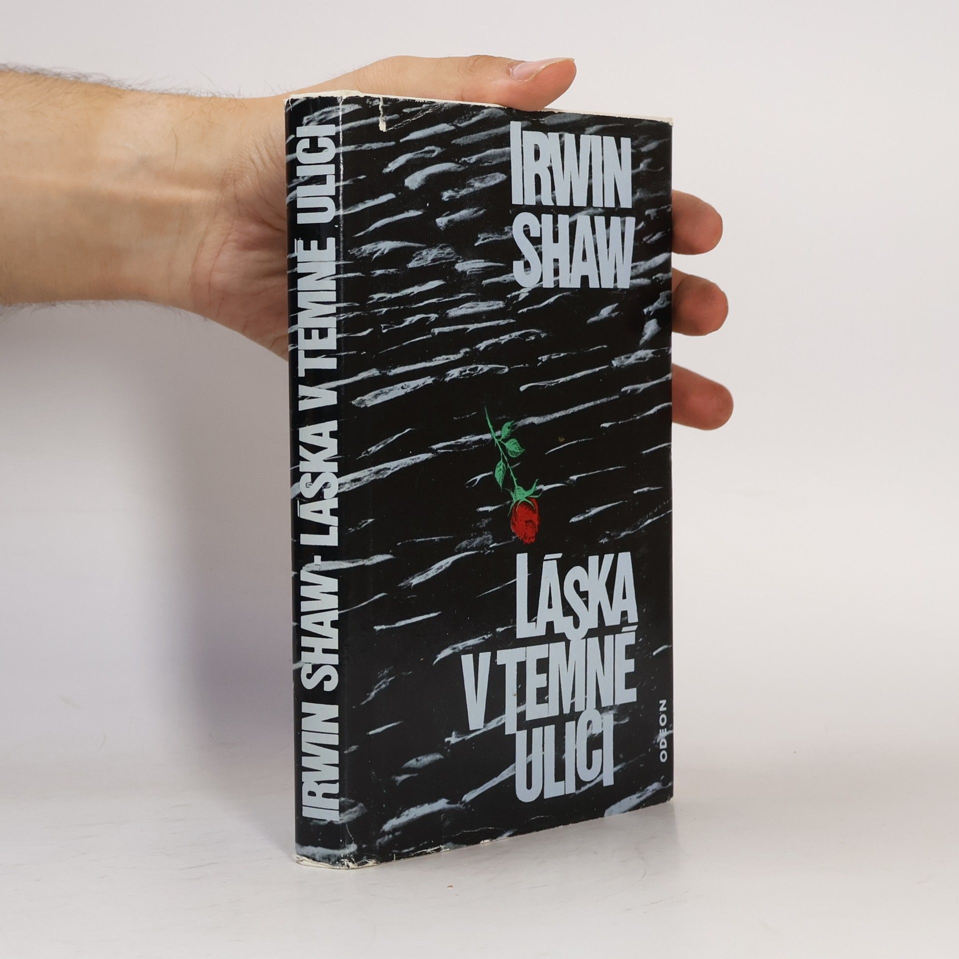 Irwin Shaw Láska v temné ulici