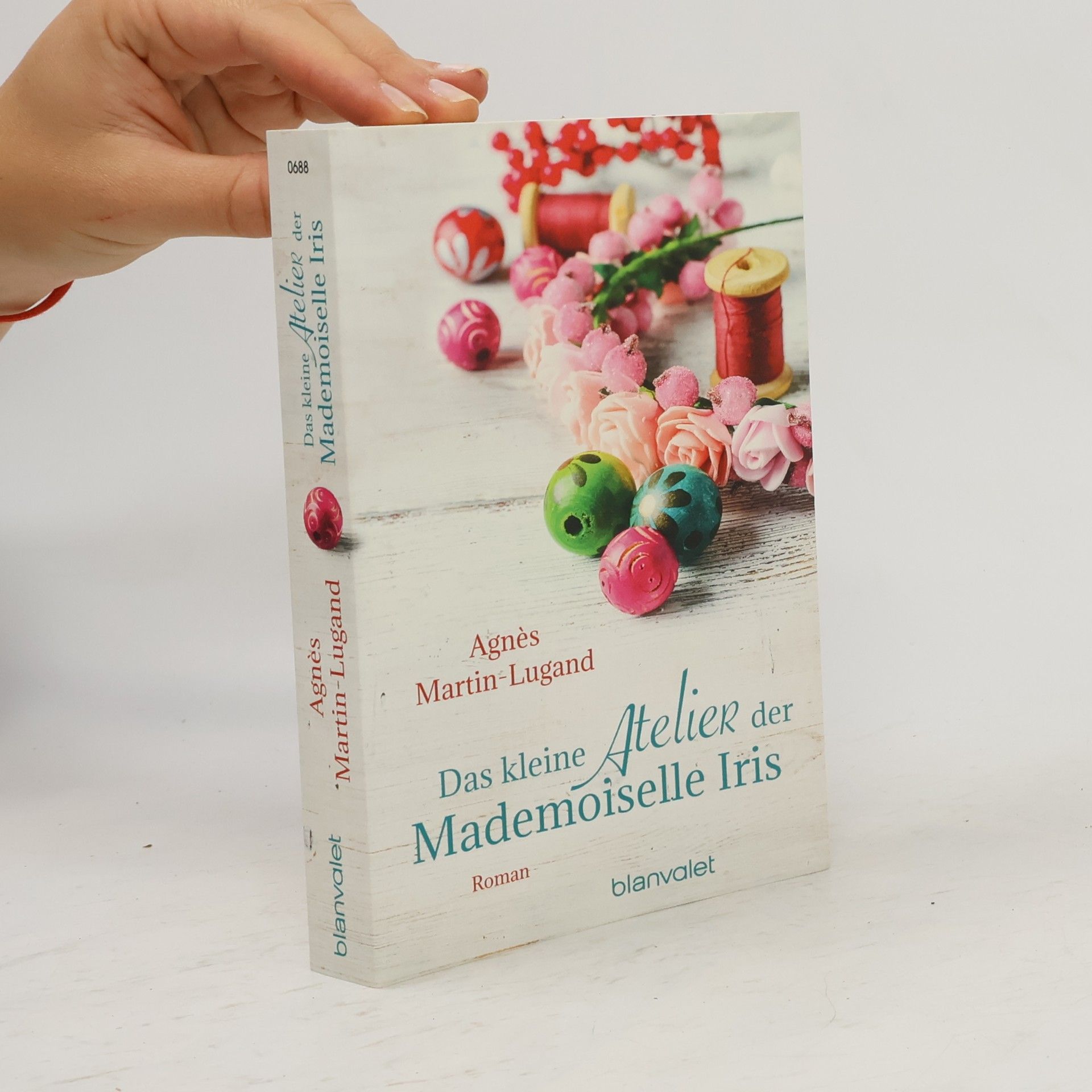 Agnès Martin-Lugand Das kleine Atelier der Mademoiselle Iris