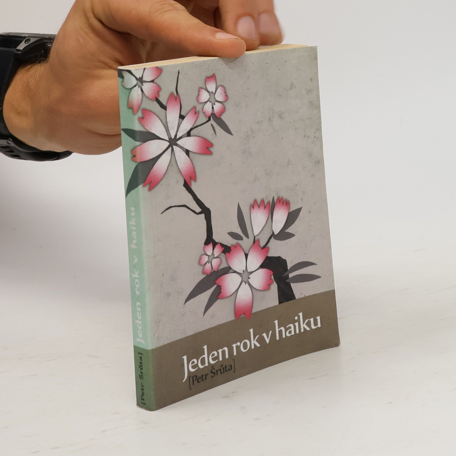 Petr Šrůta Jeden rok v haiku