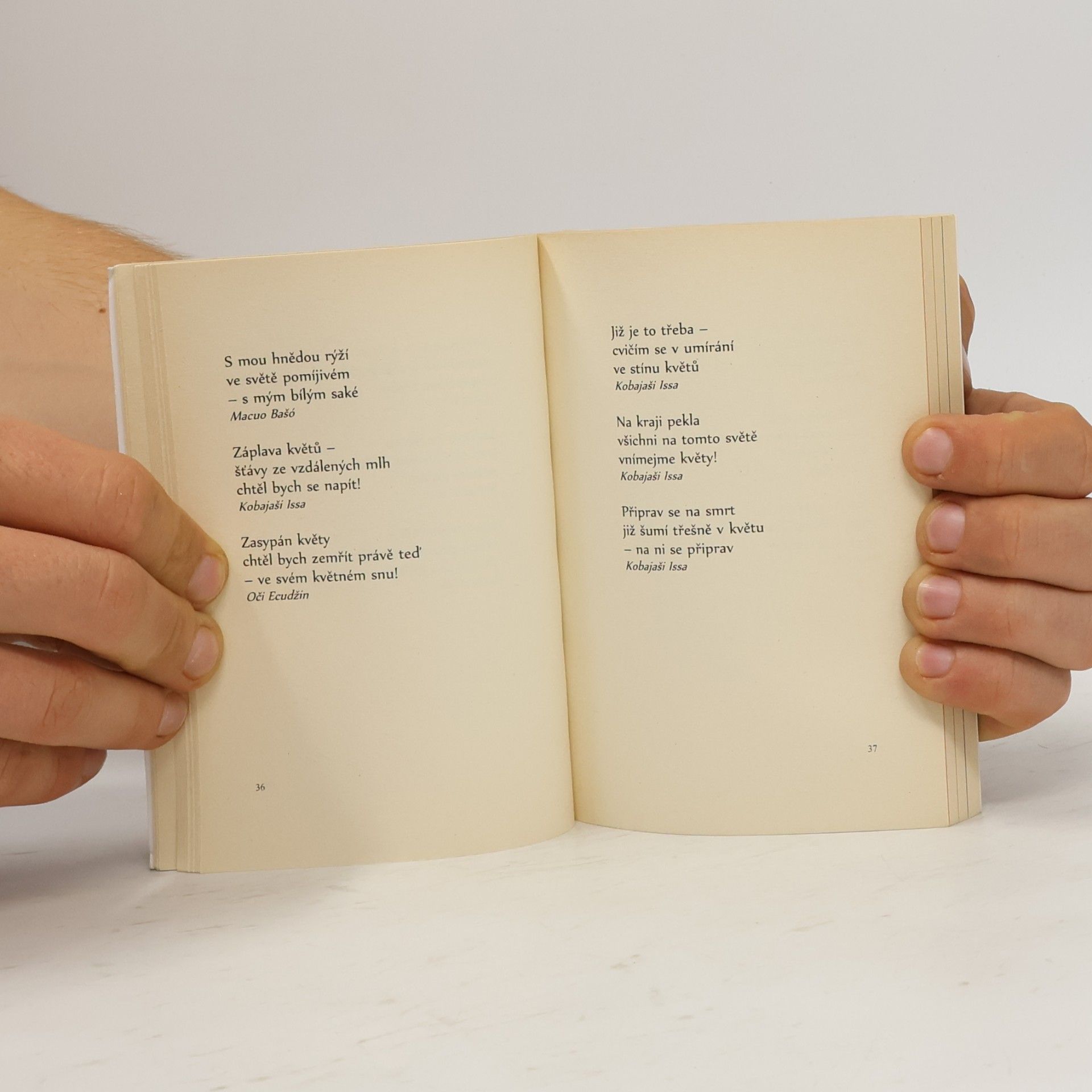 Jan Vladislav Jeden rok v haiku