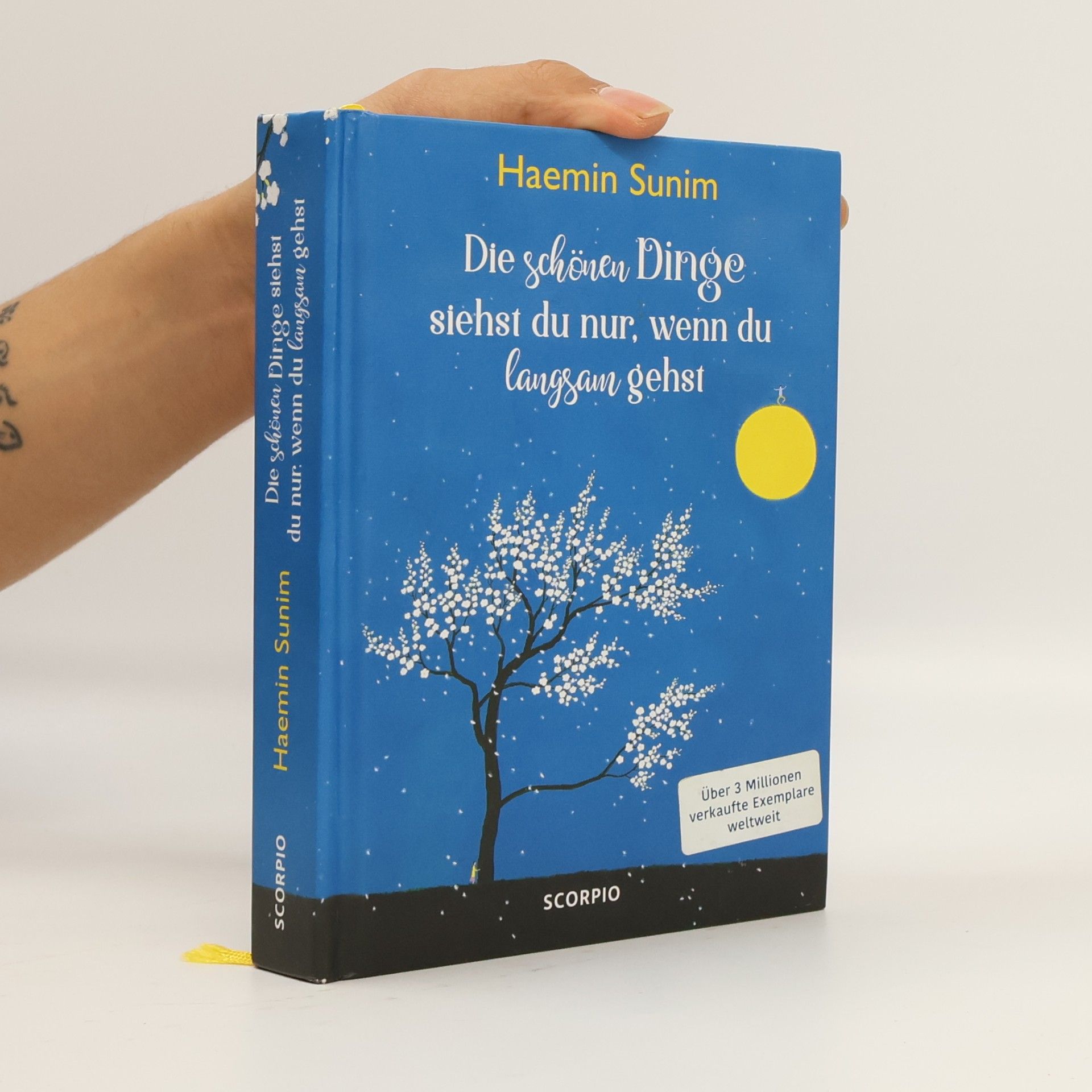Haemin Die schönen Dinge siehst du nur, wenn du langsam gehst