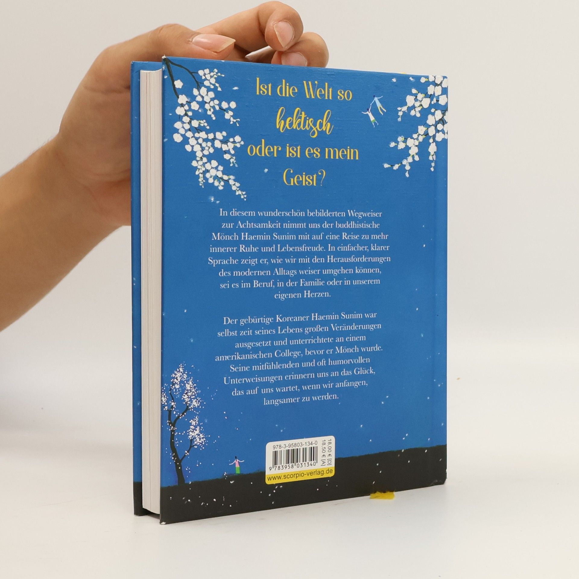 Haemin Die schönen Dinge siehst du nur, wenn du langsam gehst