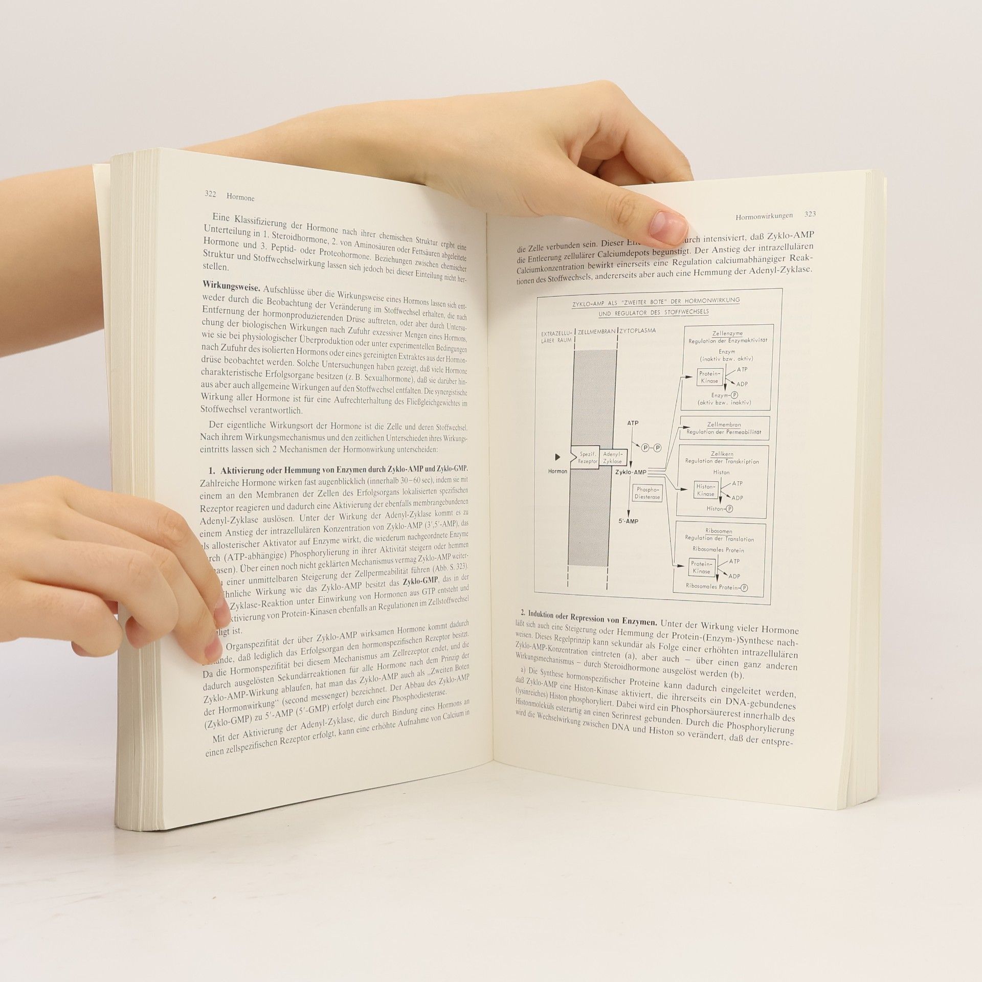 Eckhart Buddecke Grundriss der Biochemie für Studierende der Medizin, Zahnmedizin und Naturwissenschaften