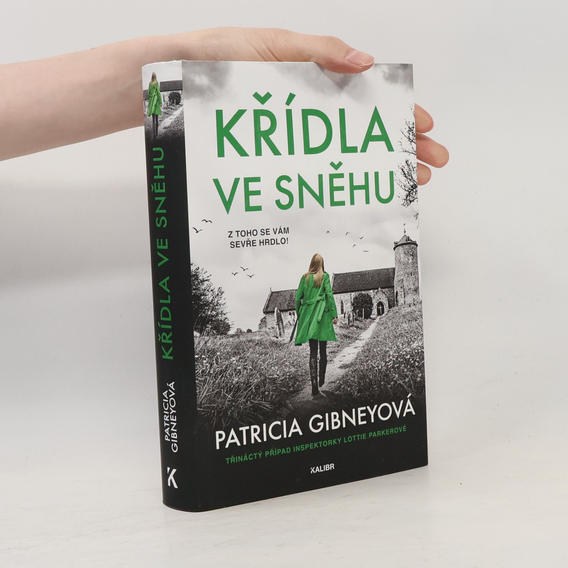 Patricia Gibney Křídla ve sněhu