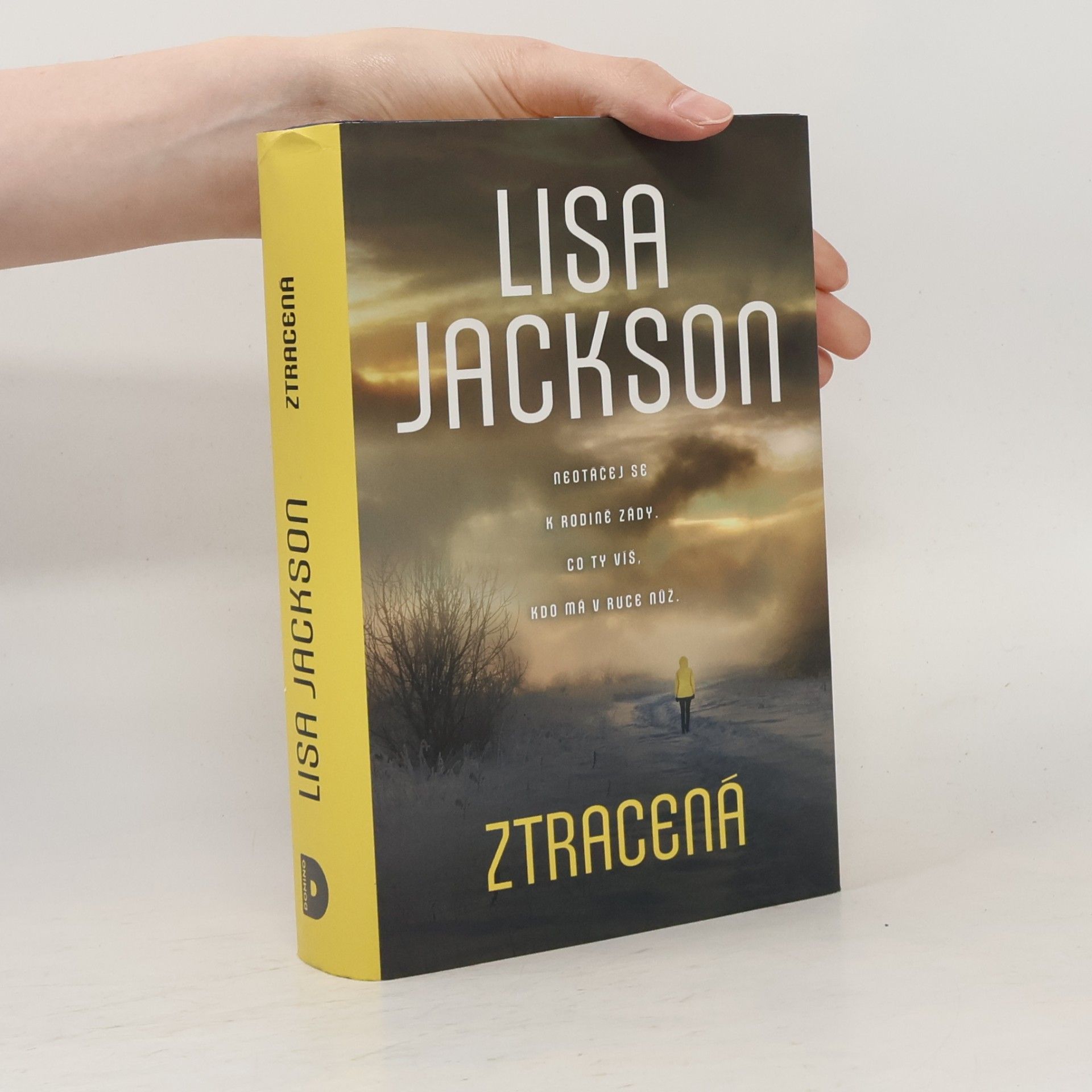 Lisa Jackson Ztracená