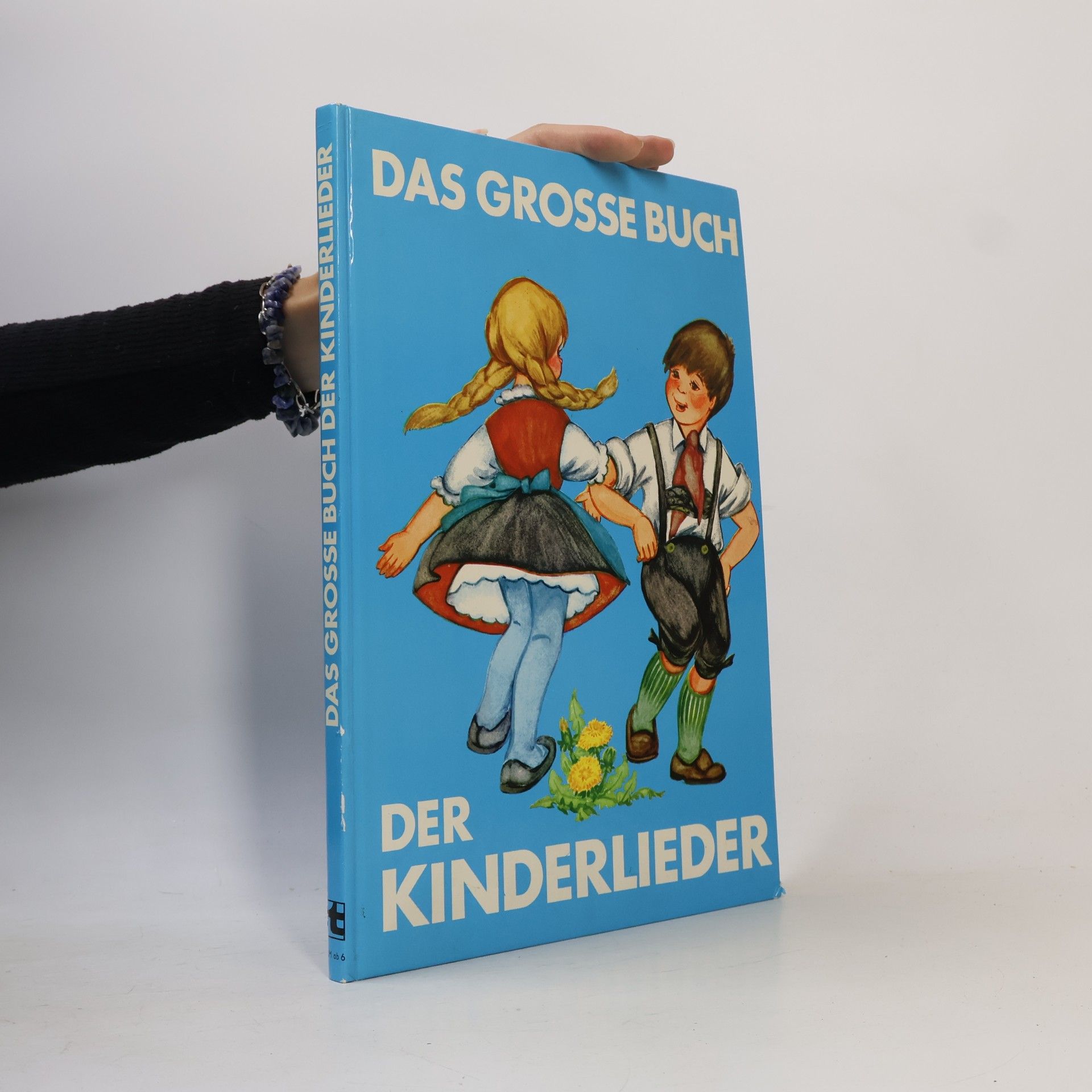 Autorenkollektiv Das grosse Buch der Kinderlieder