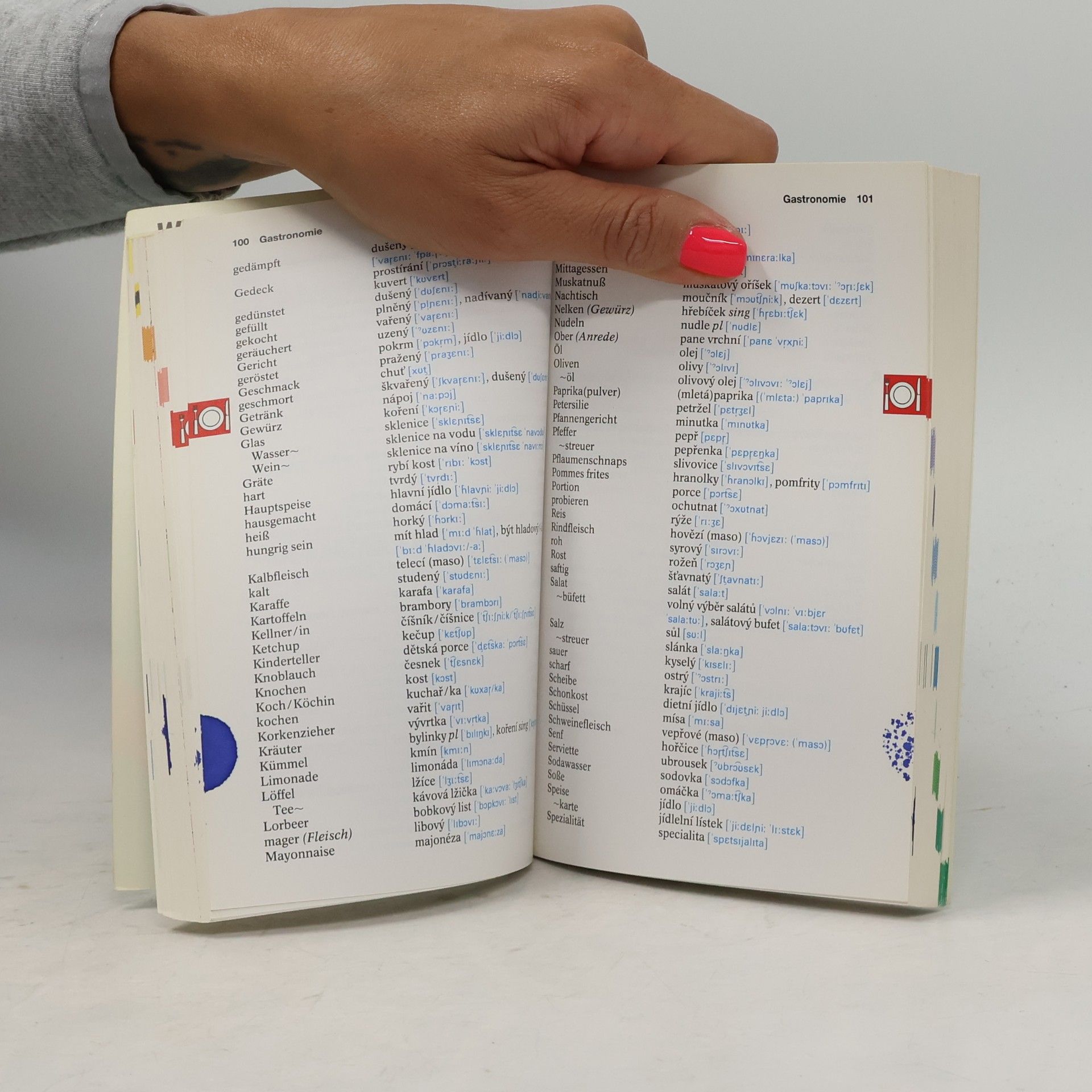 Alena Walter Pons Reisewörterbuch (Tschechisch)