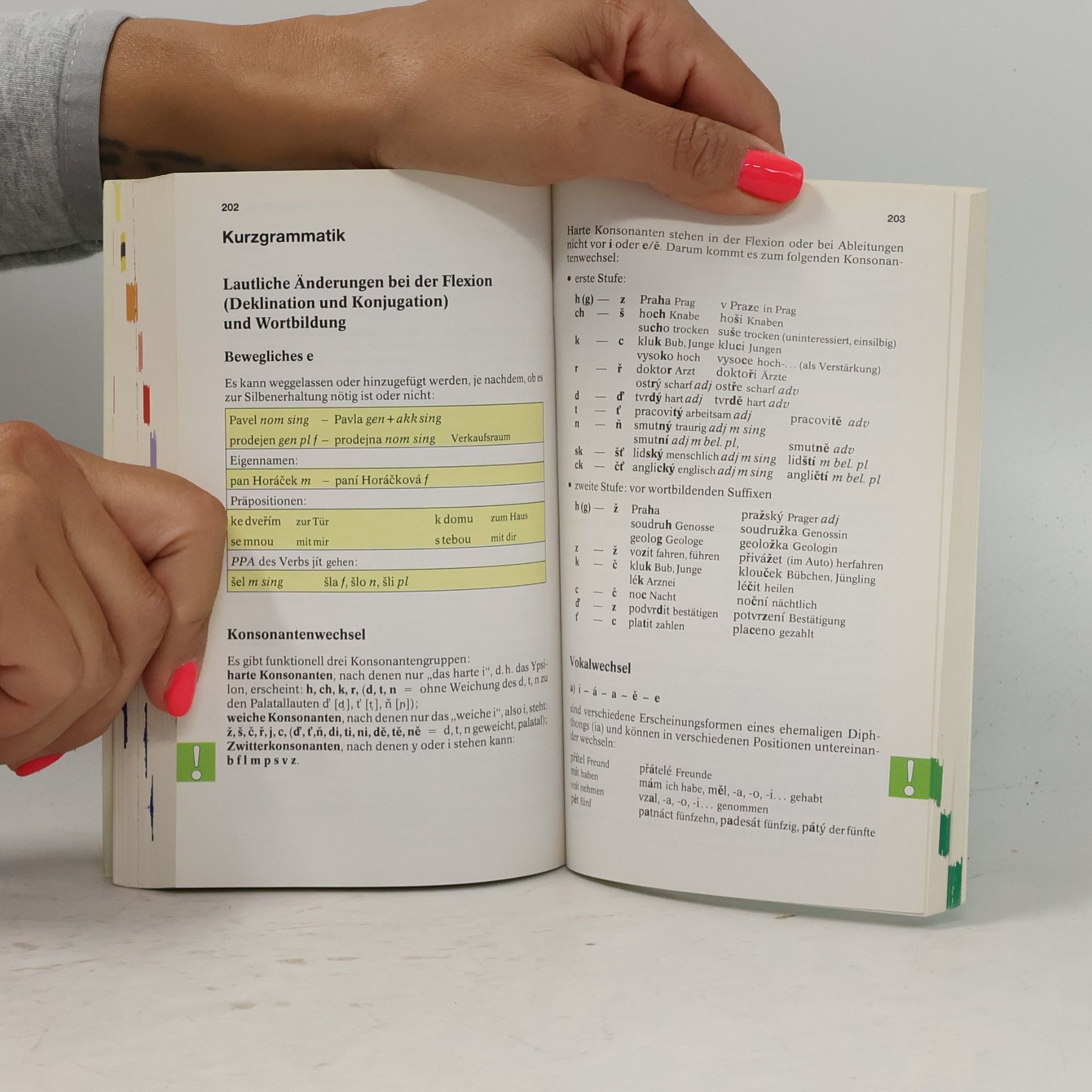 Alena Walter Pons Reisewörterbuch (Tschechisch)