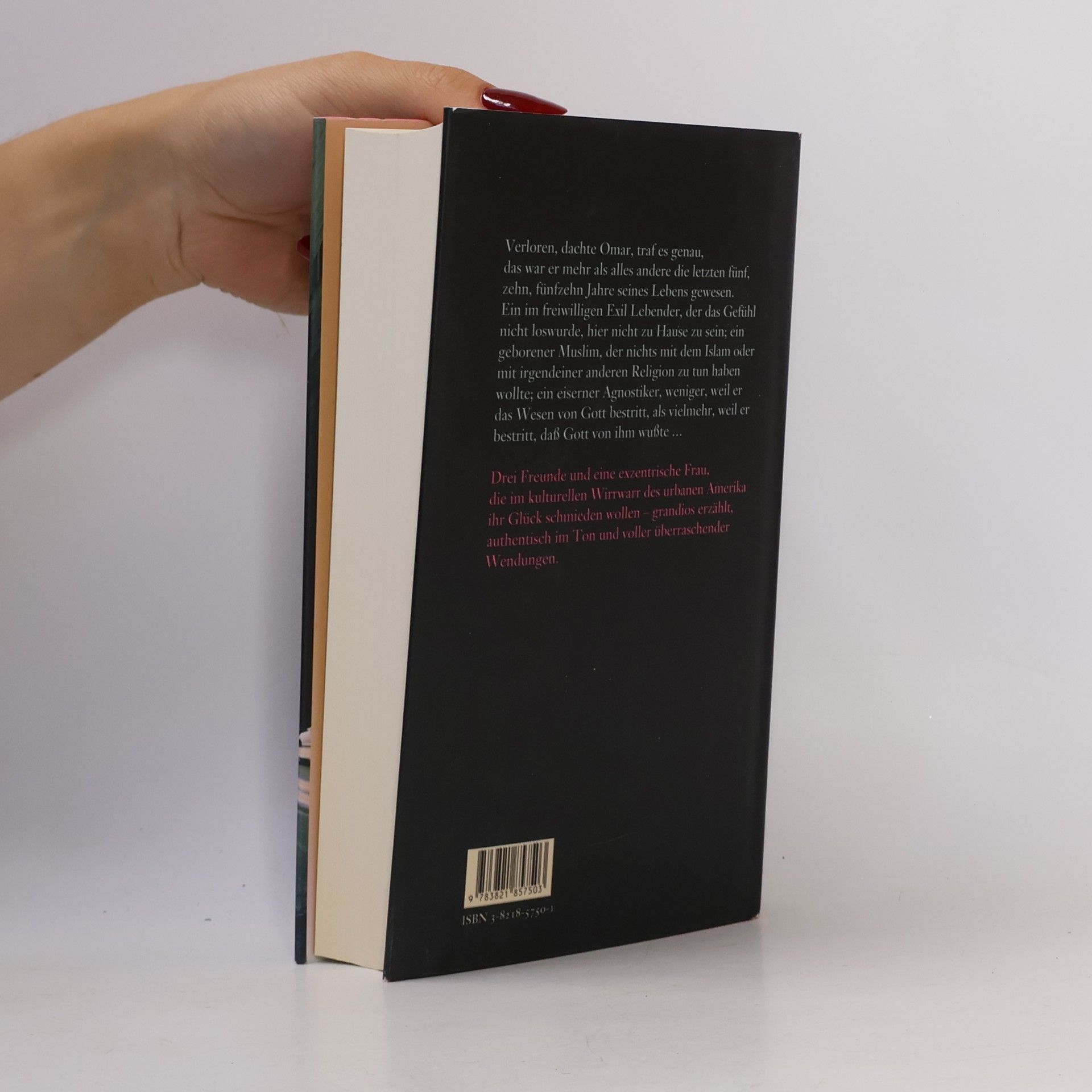 Elif Shafak Die Heilige des nahenden Irrsinns