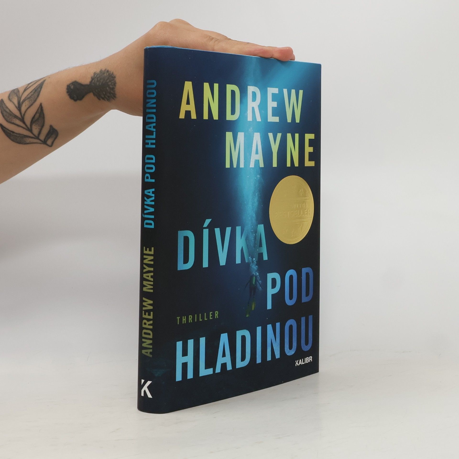 Andrew Mayne Dívka pod hladinou