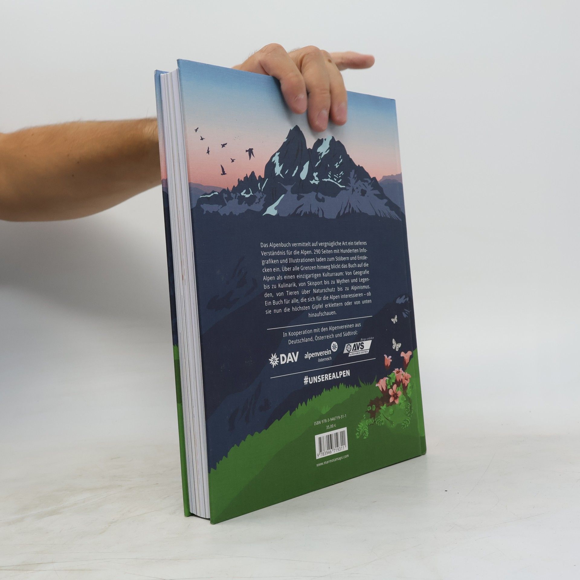 Stefan Spiegel Das Alpenbuch