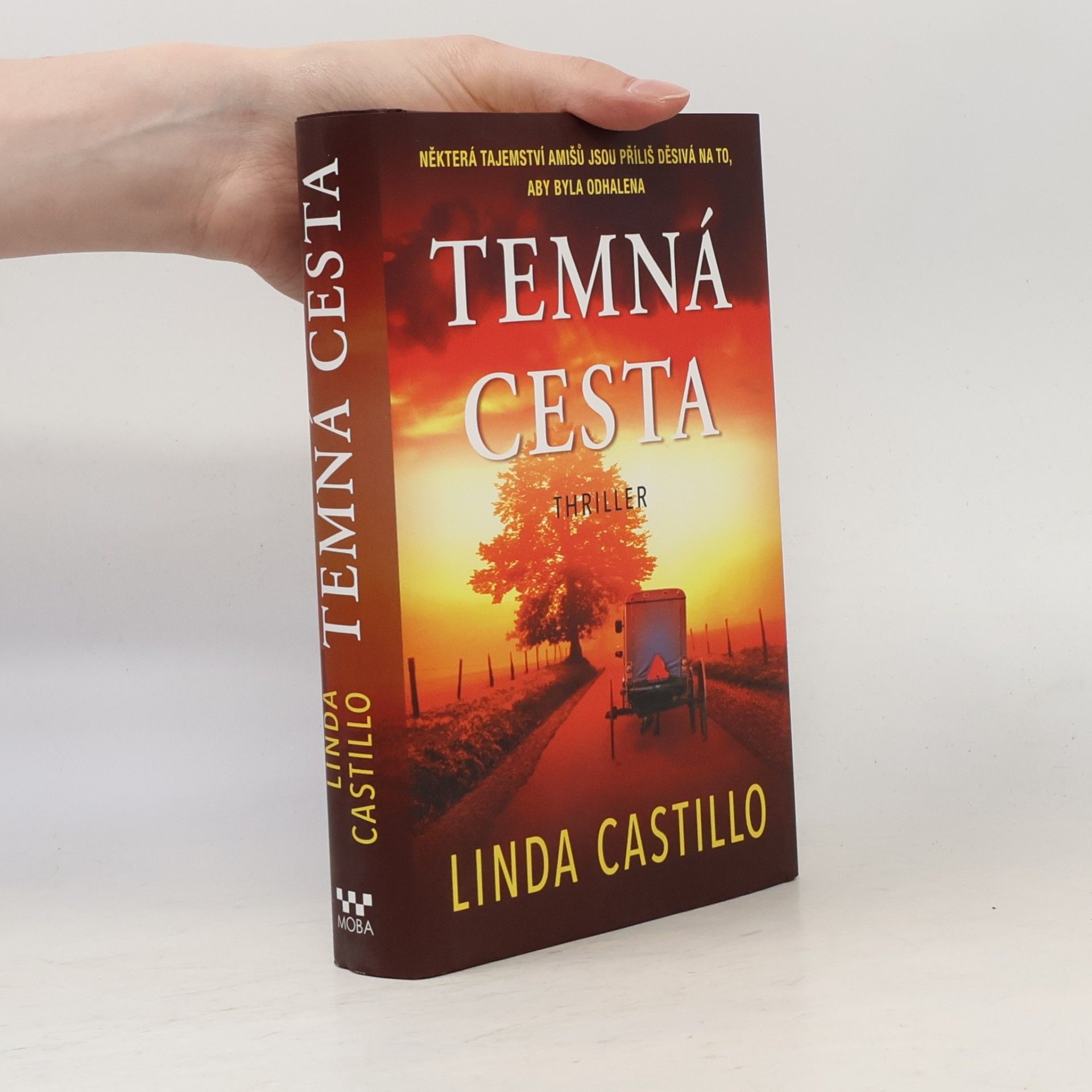 Linda Castillo Temná cesta