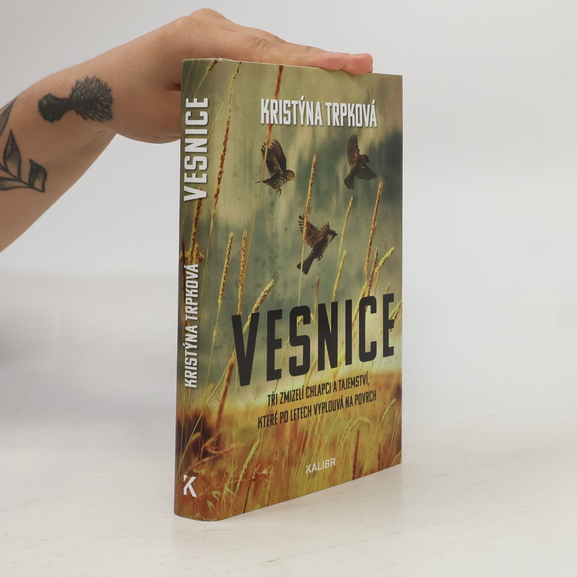 Kristýna Trpková Vesnice