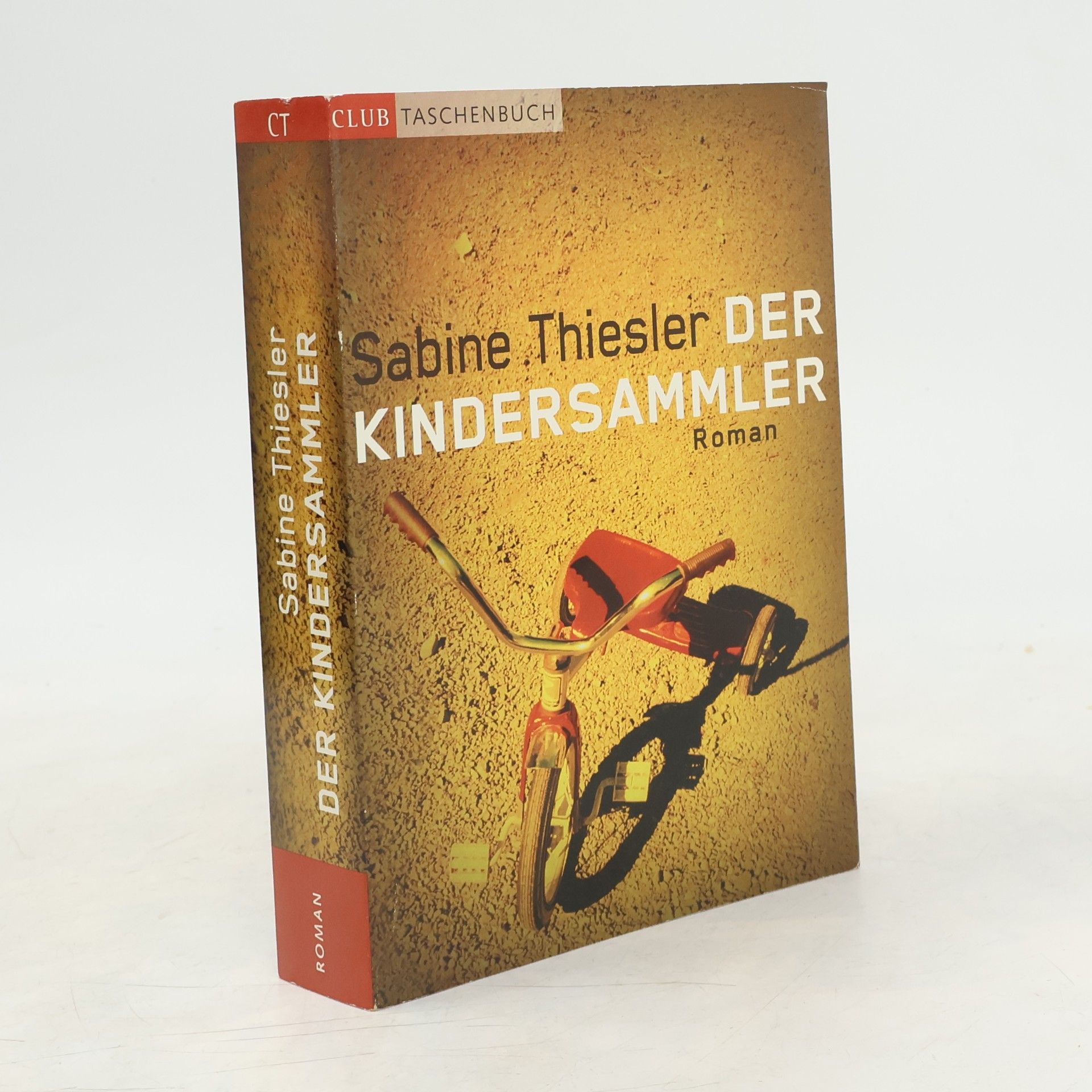 Sabine Thiesler Der Kindersammler