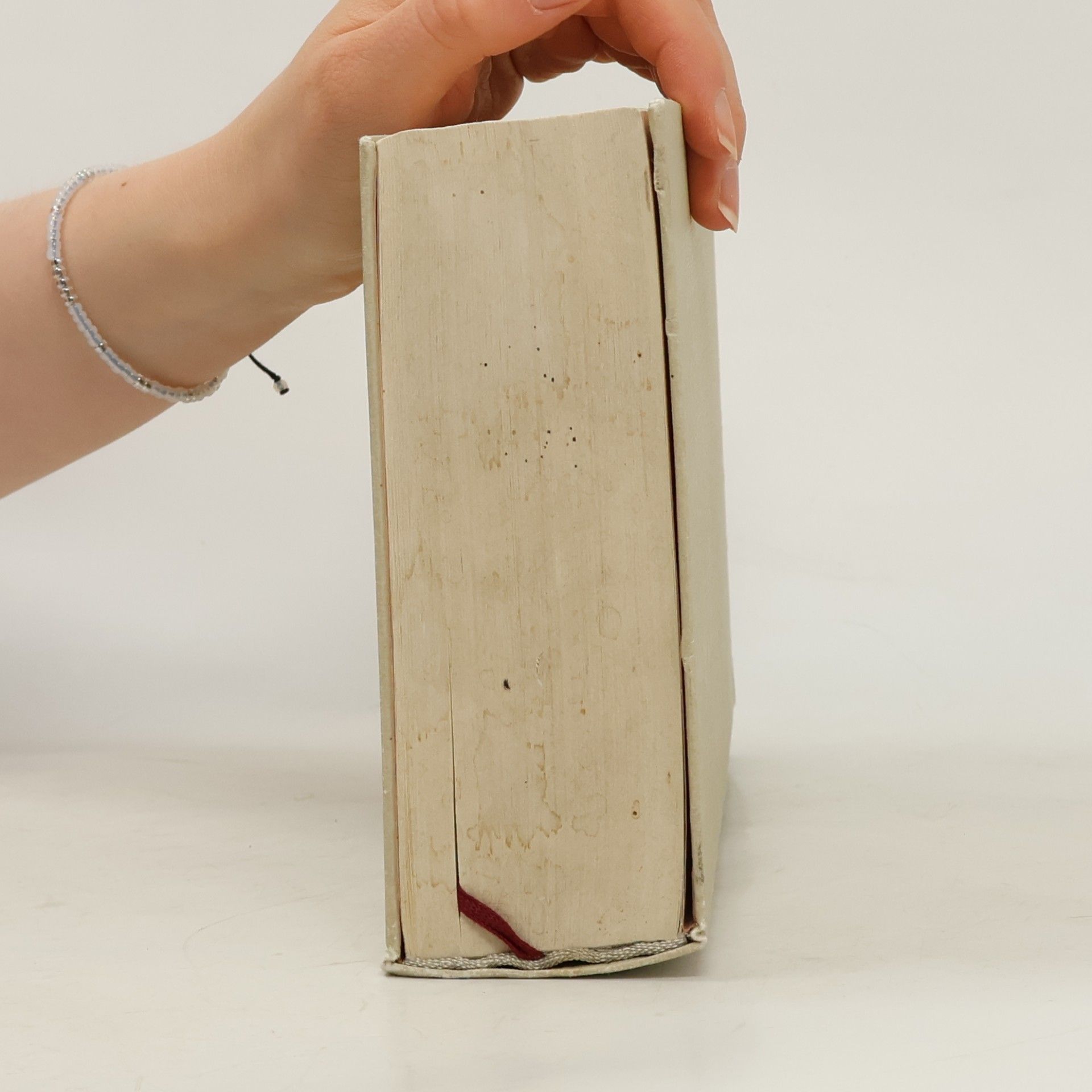 Rosamunde Pilcher Die Muschelsucher