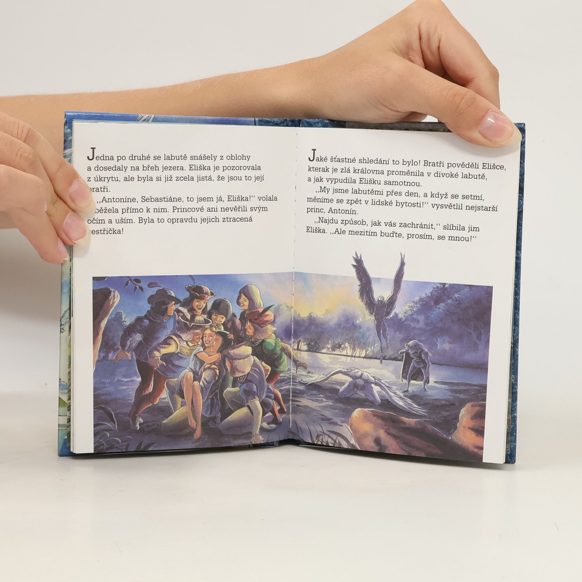 Hans-Christian Andersen Divoké labutě