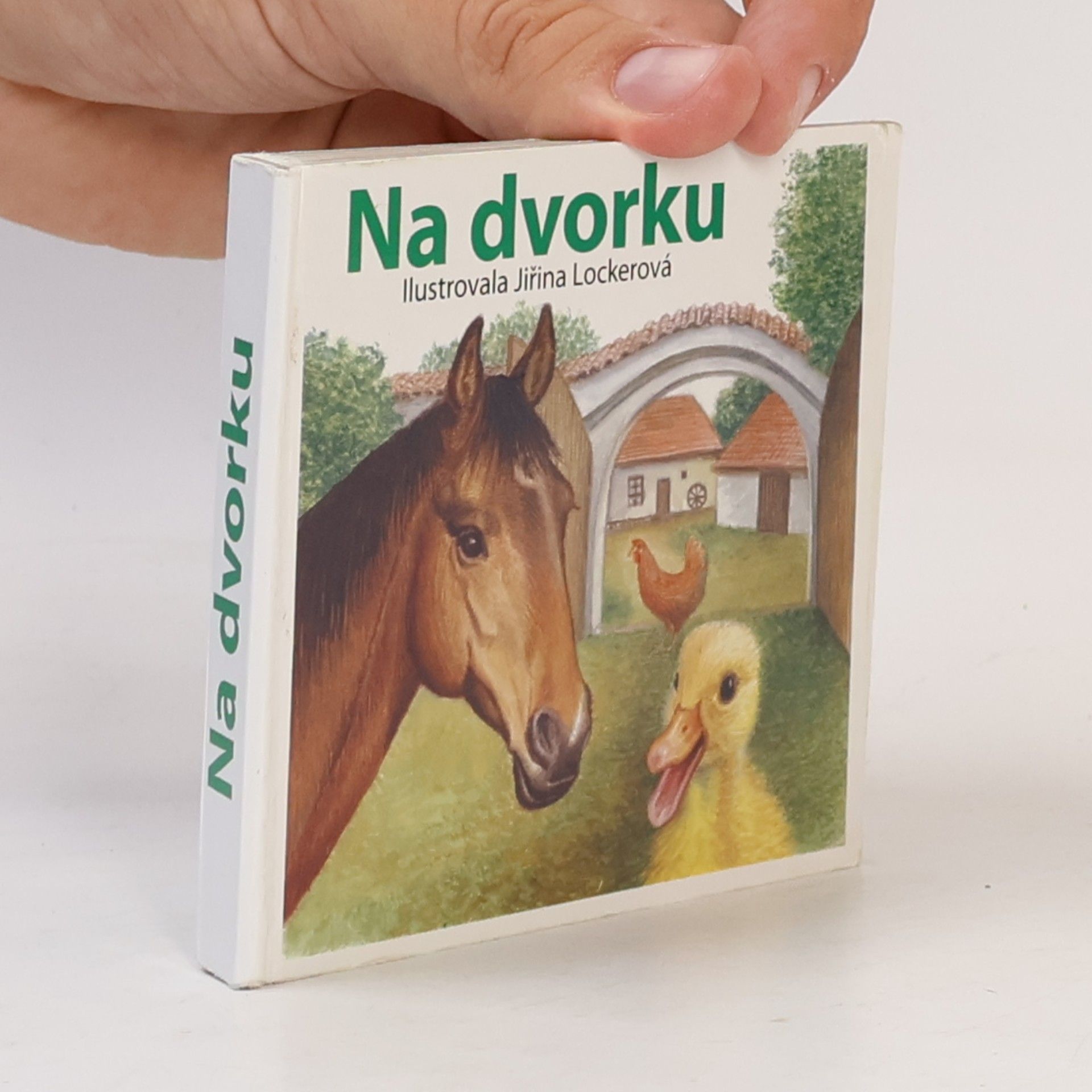 Jiřina Lockerová Na dvorku