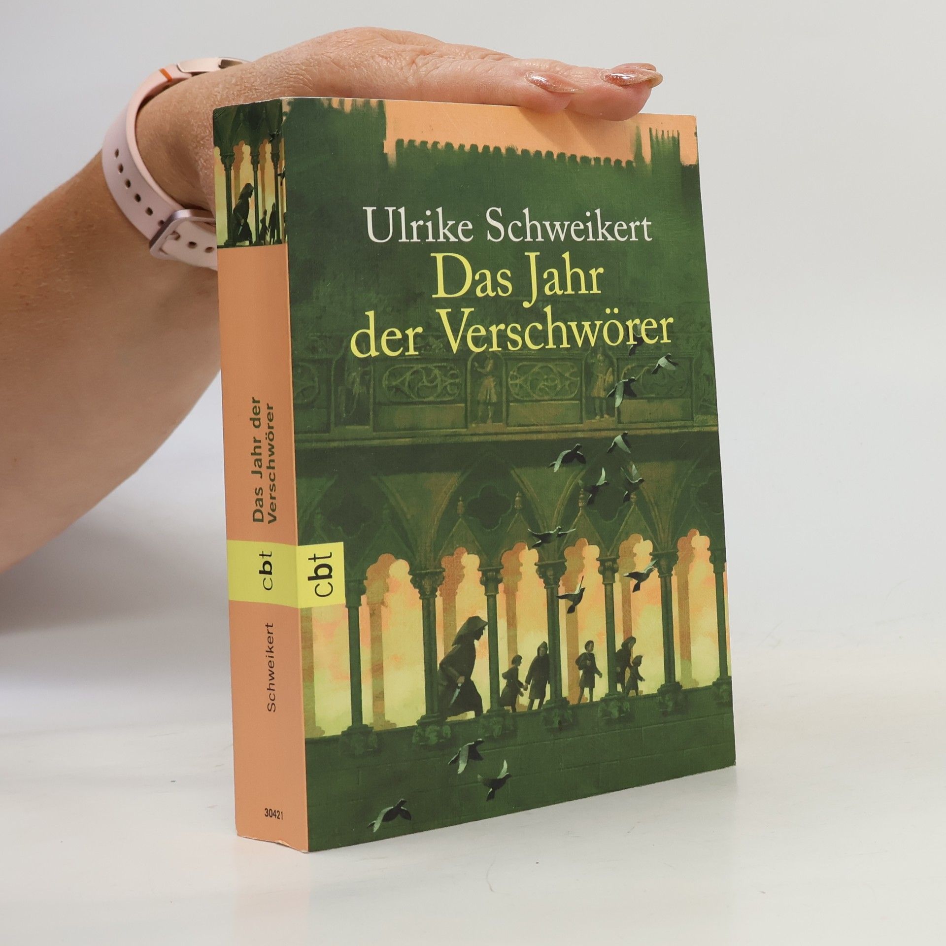 Ulrike Schweikert Das Jahr der Verschwörer
