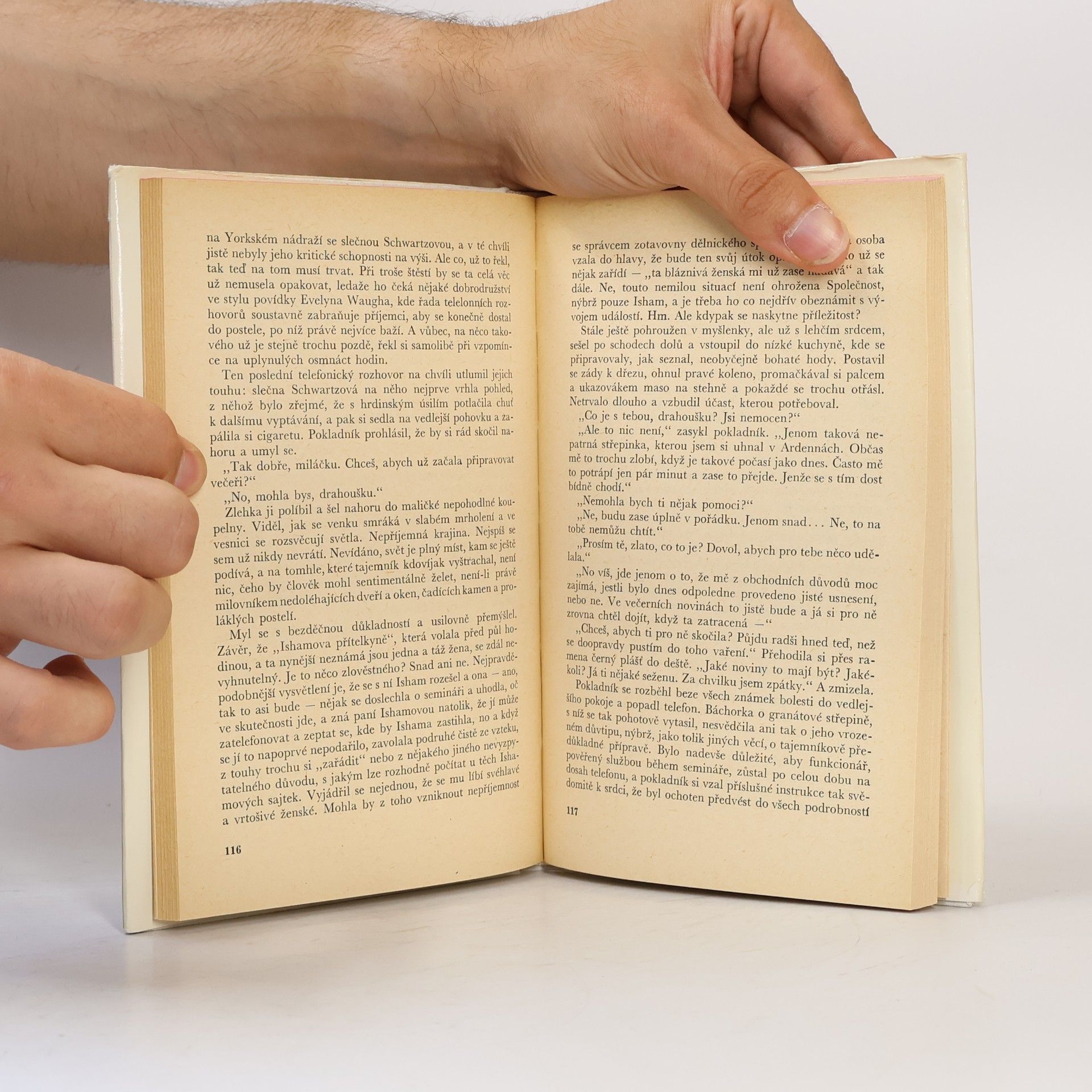 Kingsley Amis Egyptologové