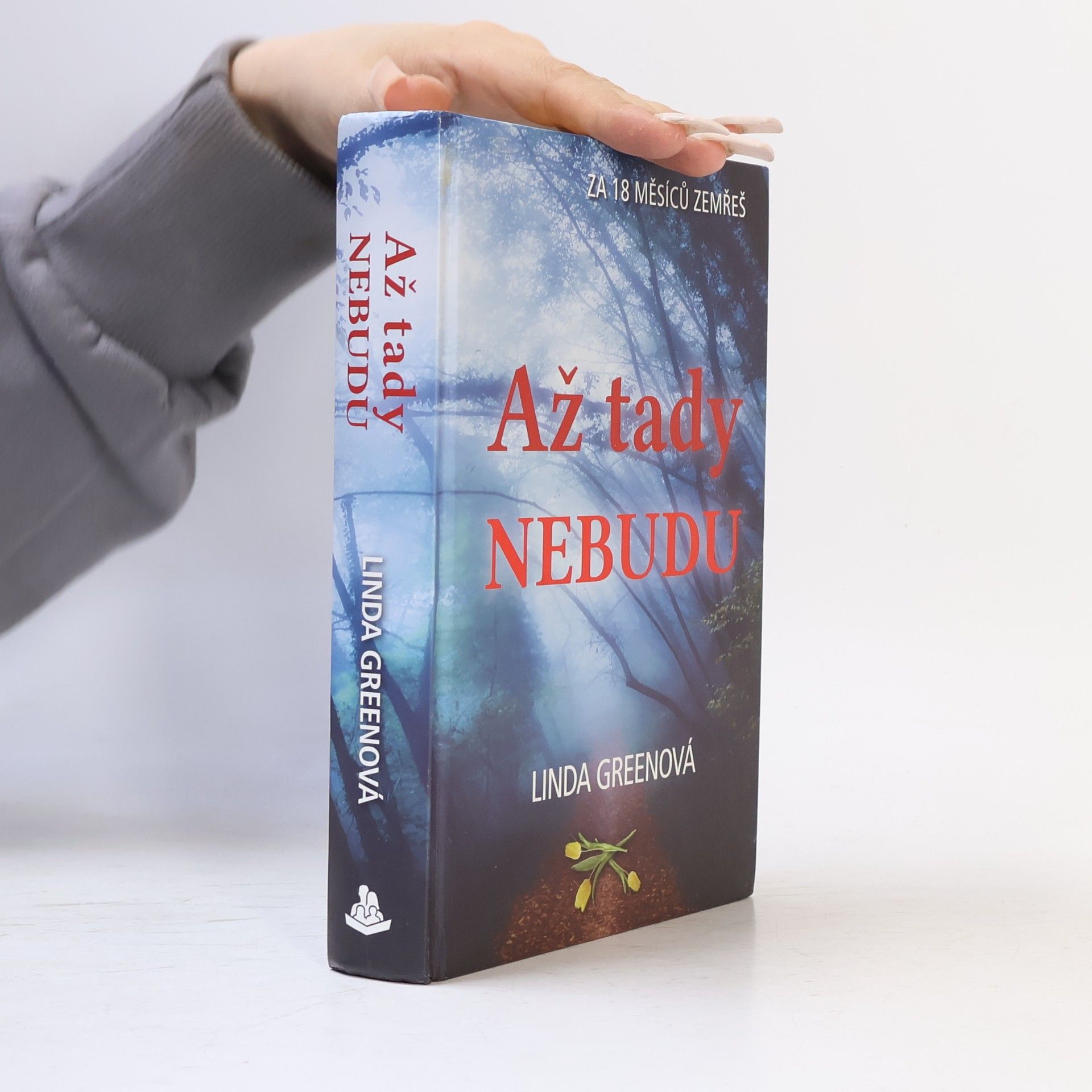 Až tady nebudu