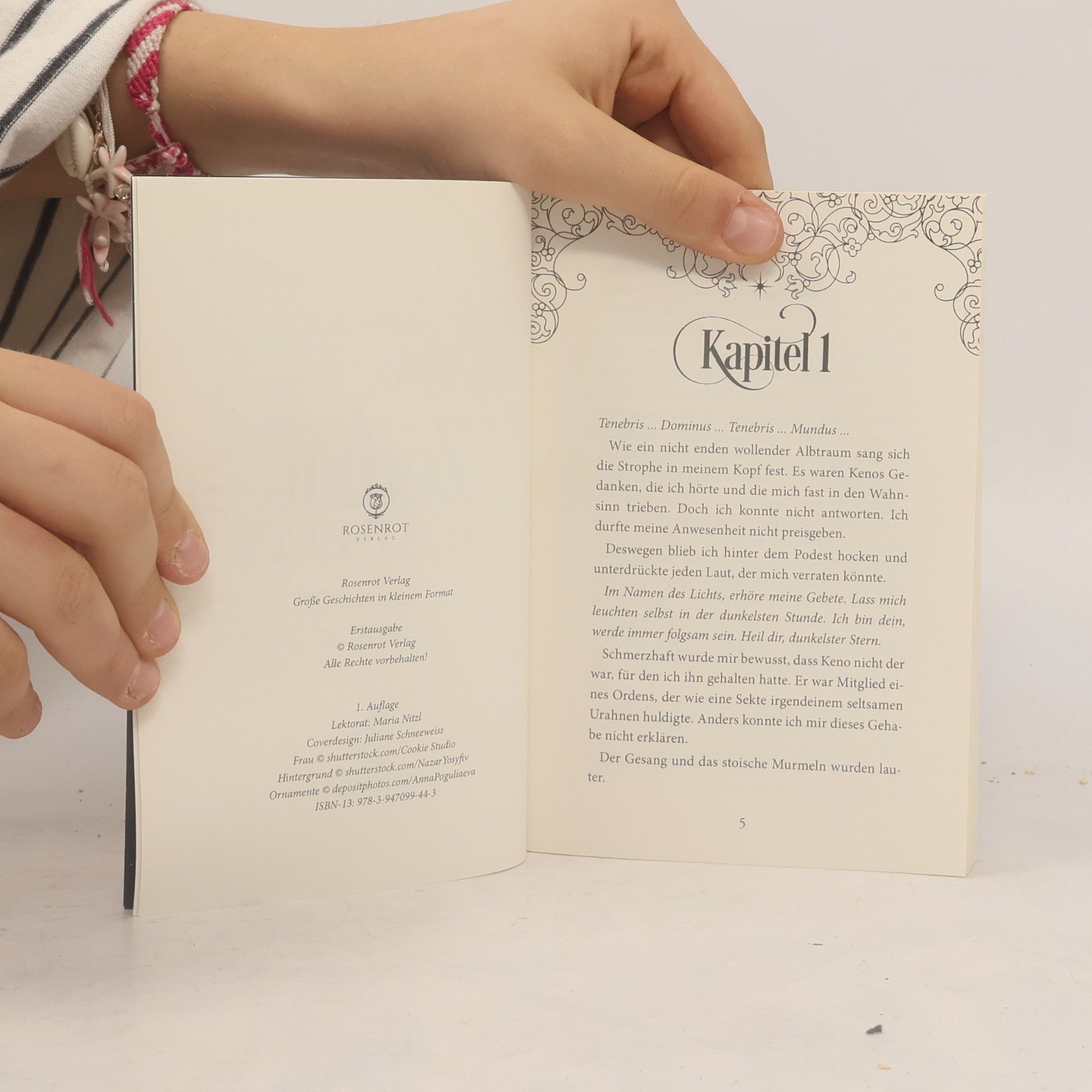 Amber Auburn Zodiac Academy - 17: Der Orden des Lichts