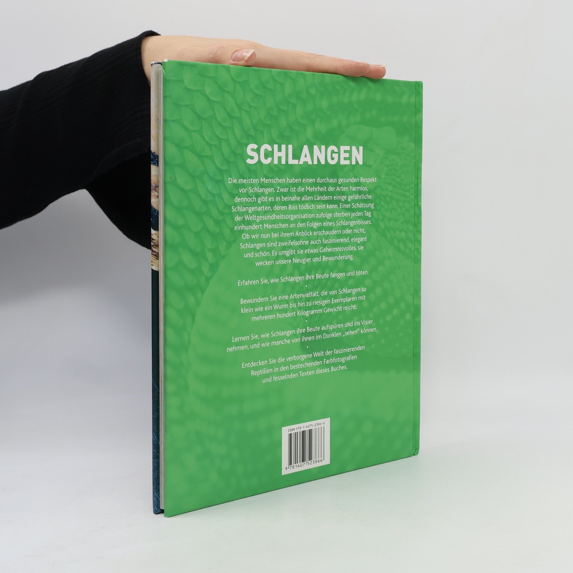 Daniel Gilpin Schlangen