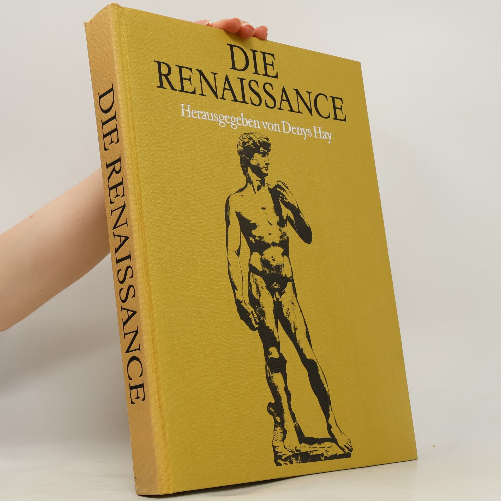 Denys Hay Die Renaissance