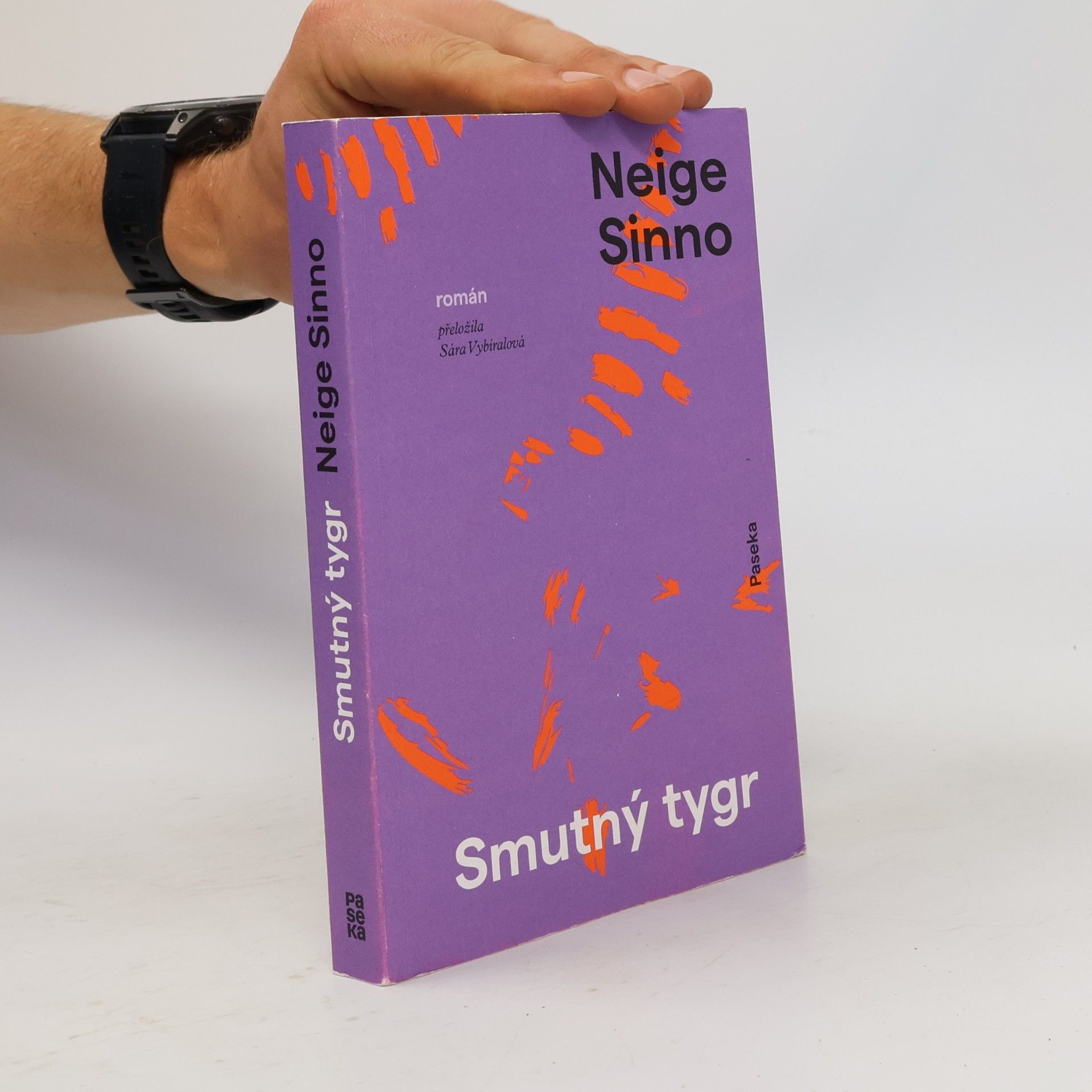 Neige Sinno Smutný tygr