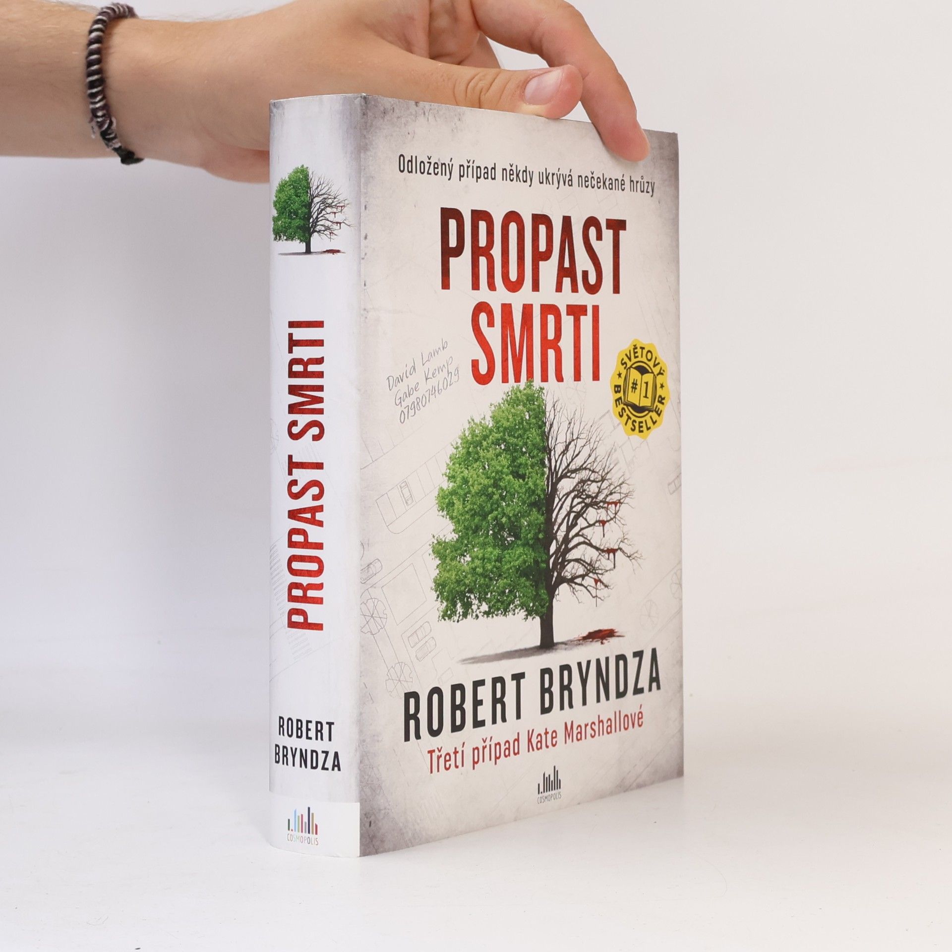 Robert Bryndza Propast smrti