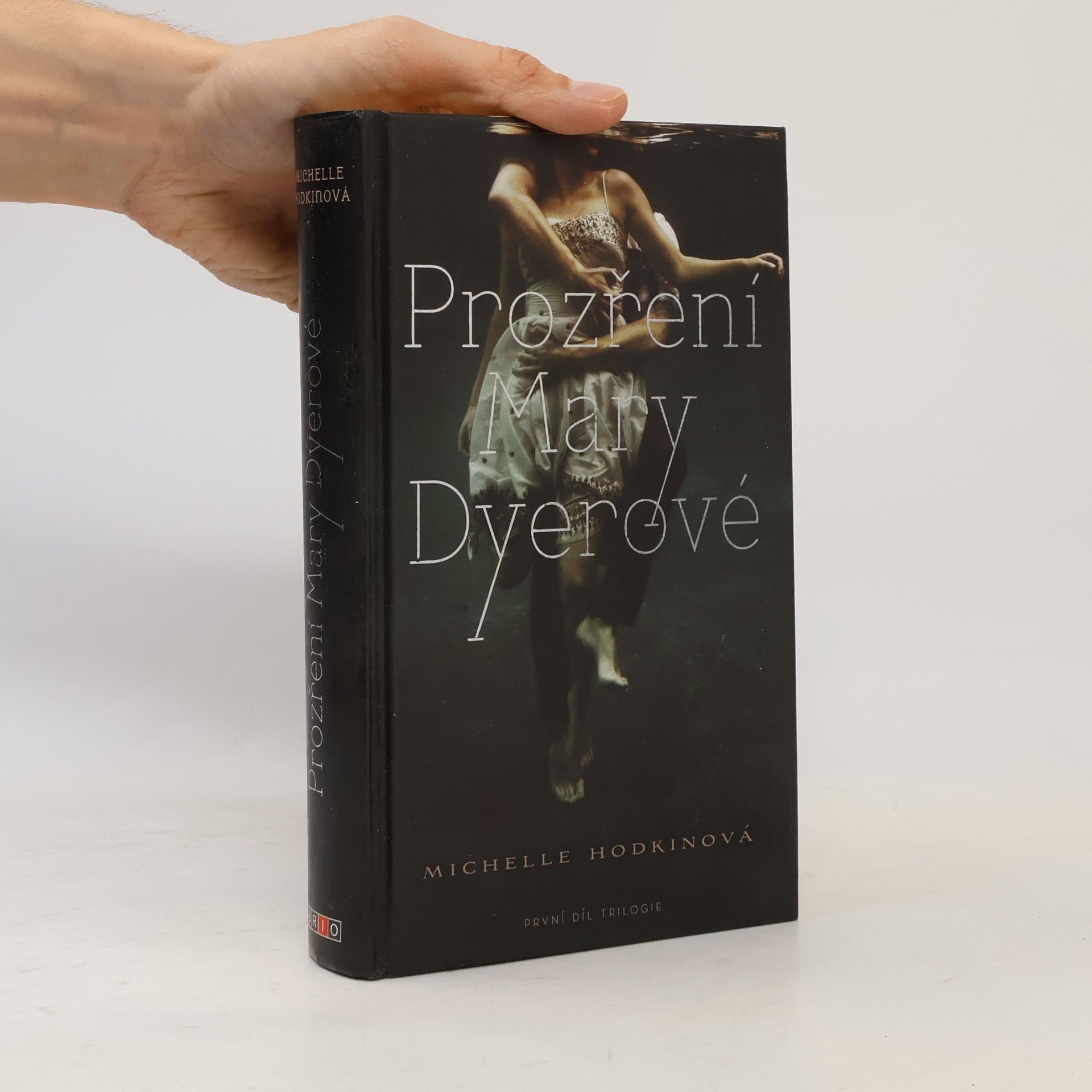 Michelle Hodkin Prozření Mary Dyerové