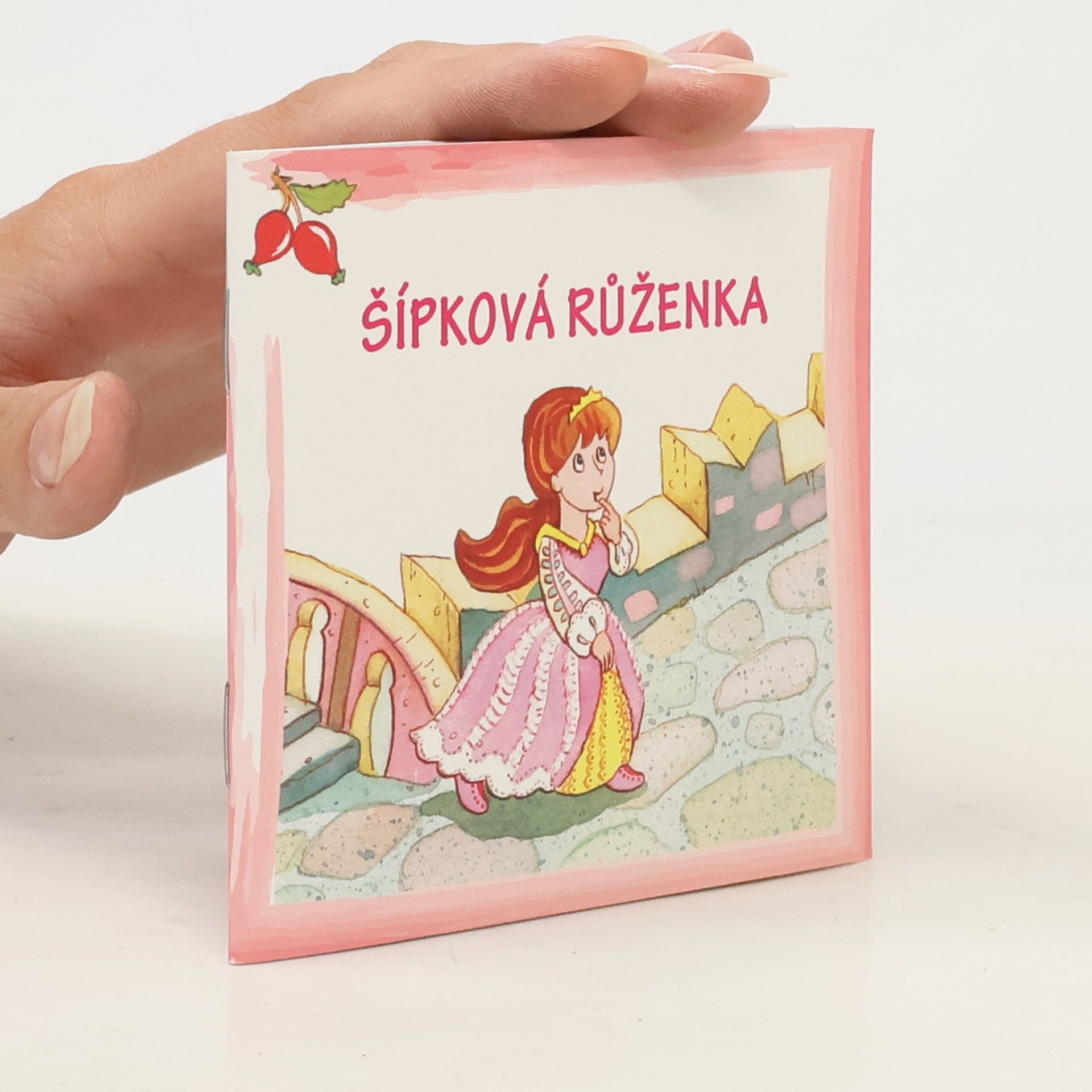 Kolektiv autorů Šípková Růženka