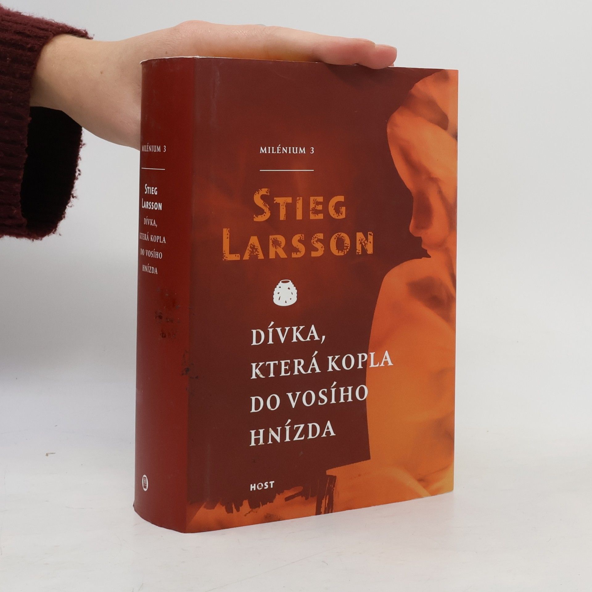 Stieg Larsson Dívka, která kopla do vosího hnízda