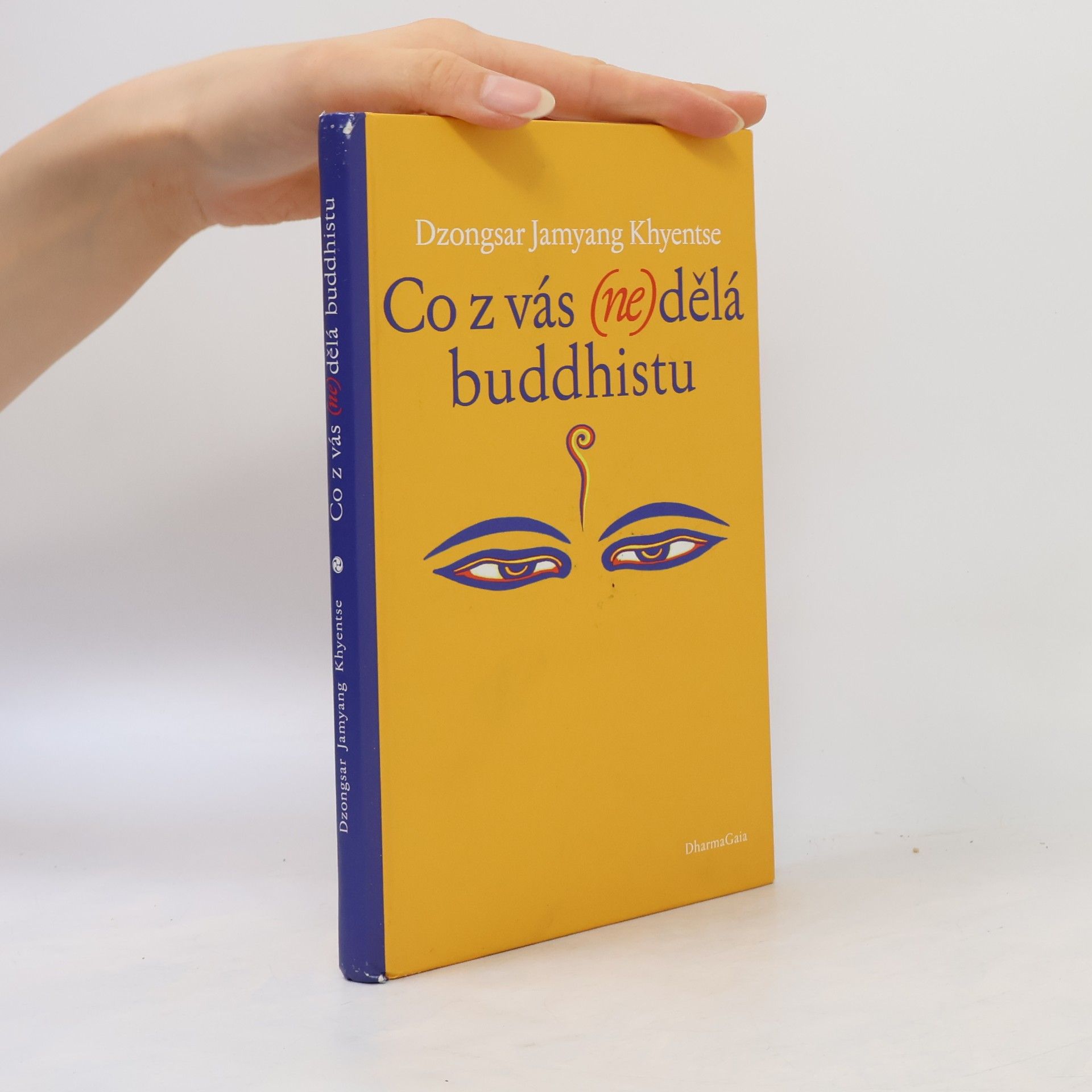 Jamyang Khyentse Co z vás (ne)dělá buddhistu