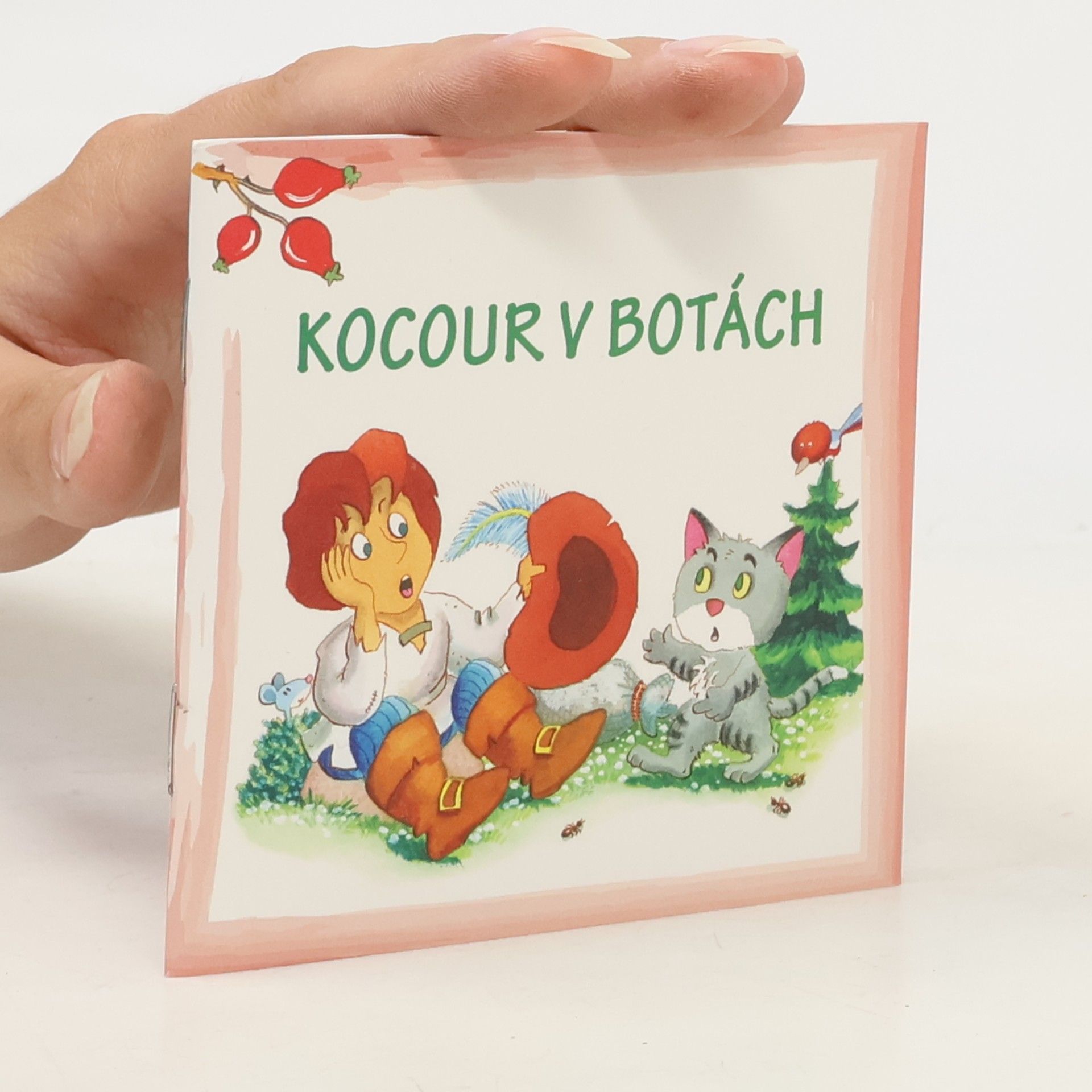 Kolektiv autorů Kocour v botách
