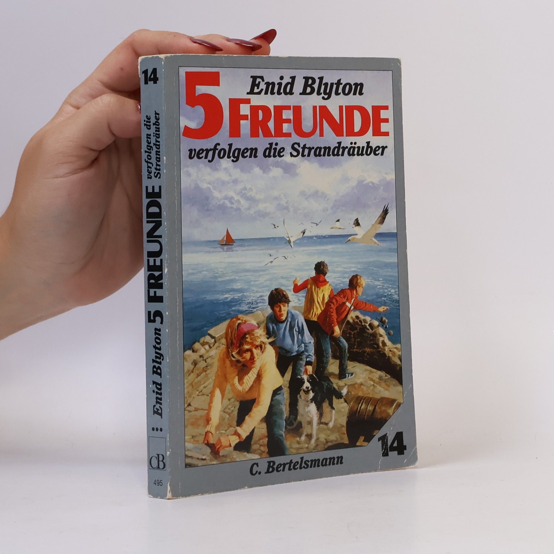 Enid Blyton 5 freunde verfolgen die Strandräuber