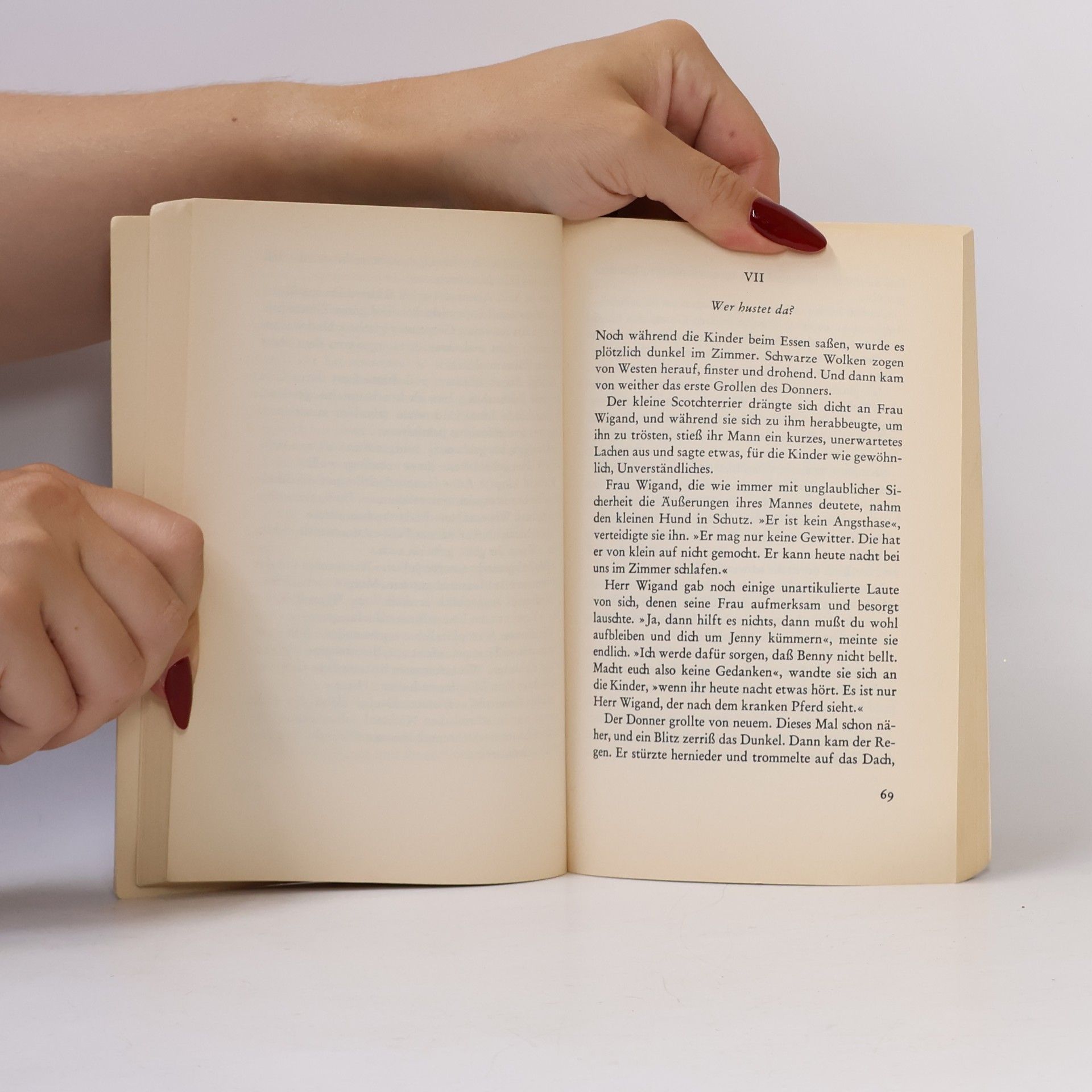 Enid Blyton 5 freunde verfolgen die Strandräuber